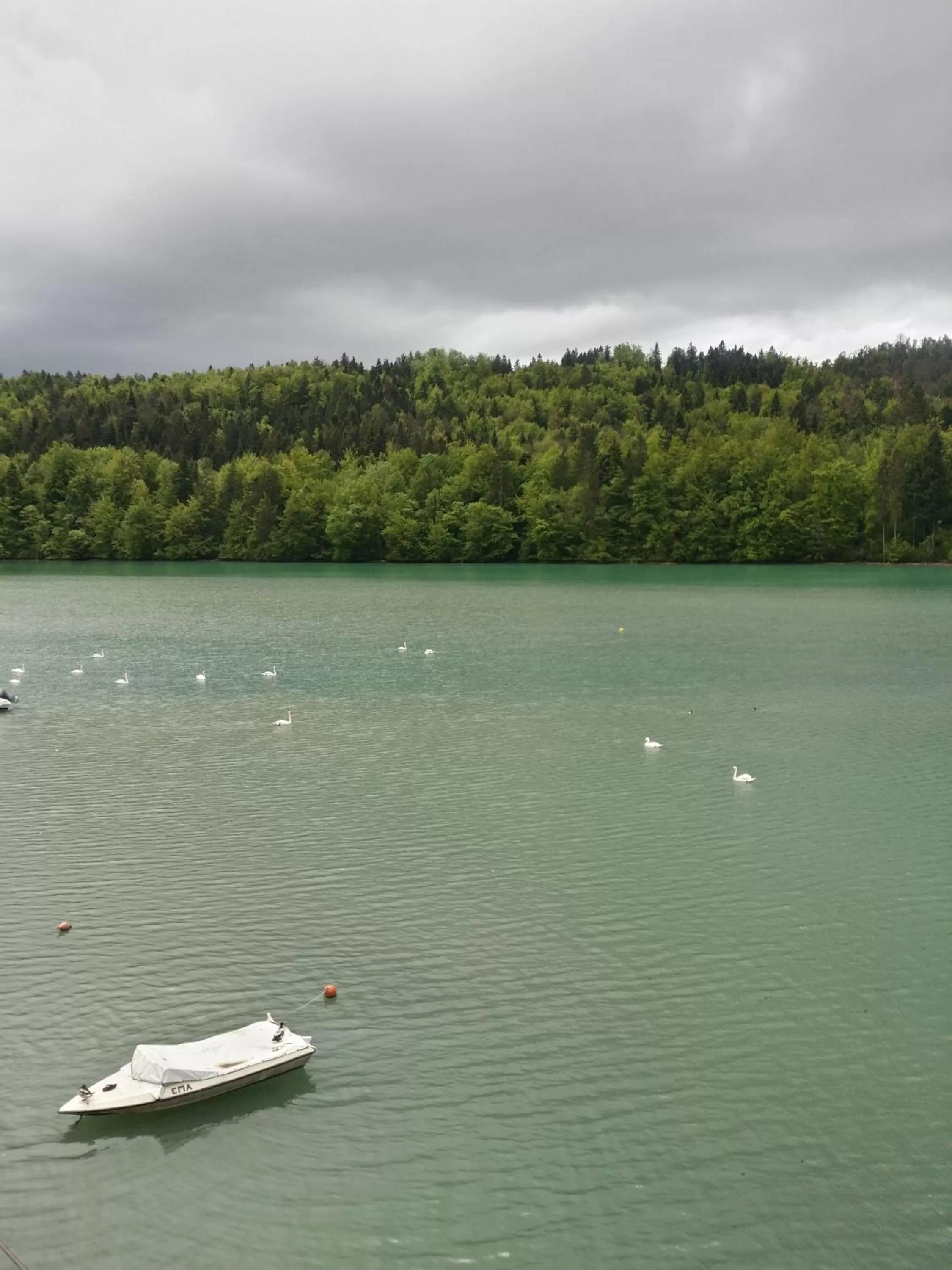 Lake view in Gostisce Jezero