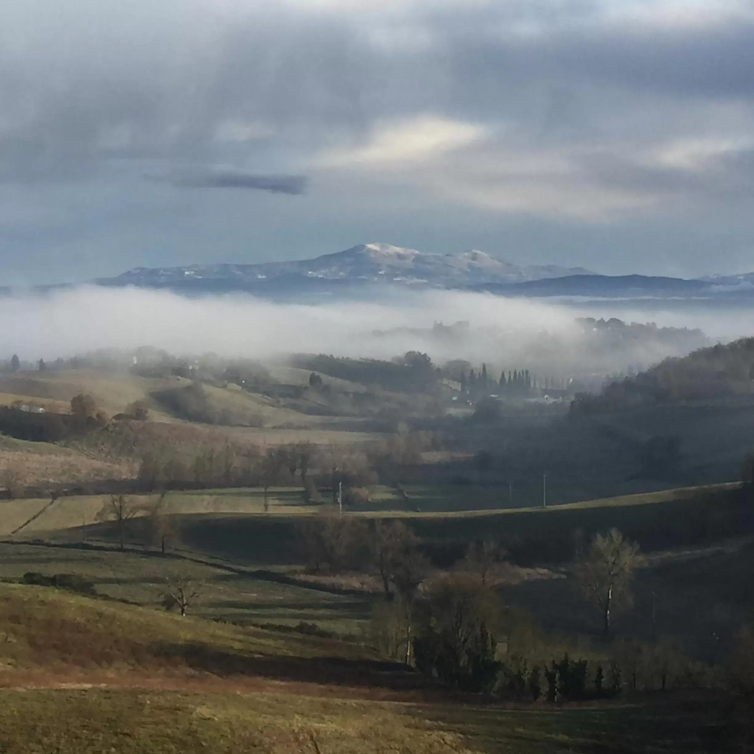 Natural landscape in Castello Delle Quattro Torra