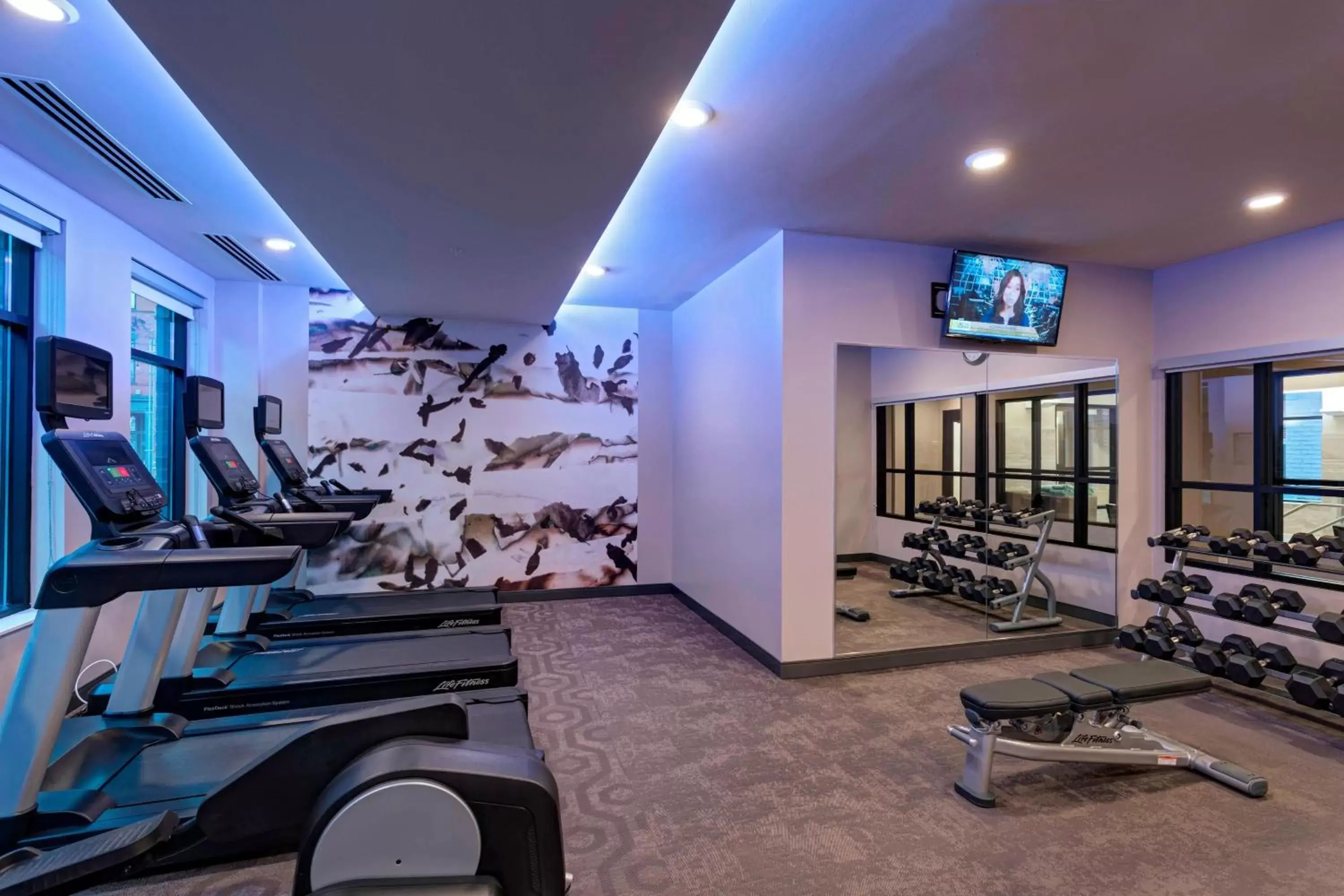 Fitness centre/facilities, Fitness Center/Facilities in Residence Inn by Marriott St. Paul Downtown