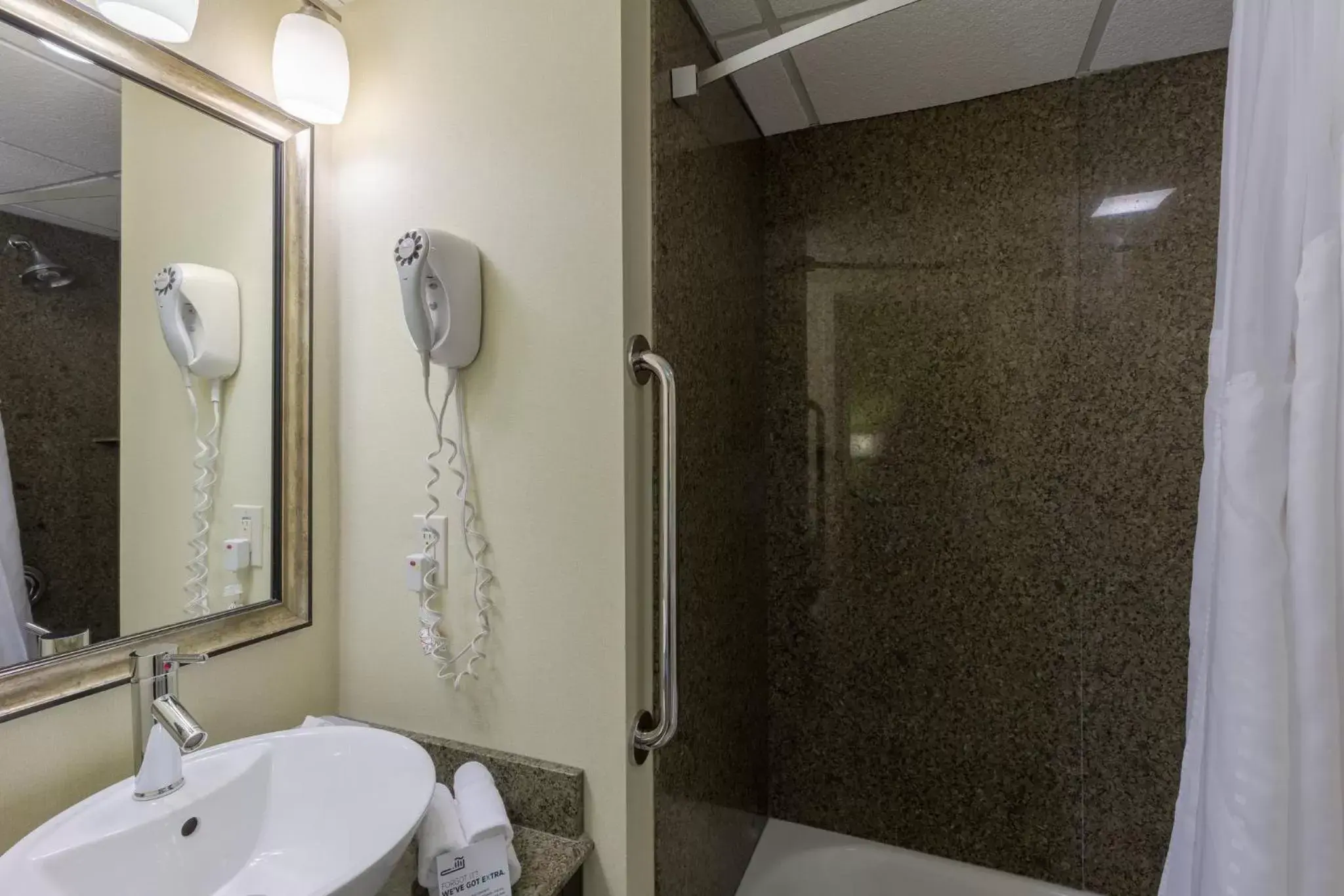 Bathroom in Holiday Inn Express & Suites - Atlanta Downtown, an IHG Hotel