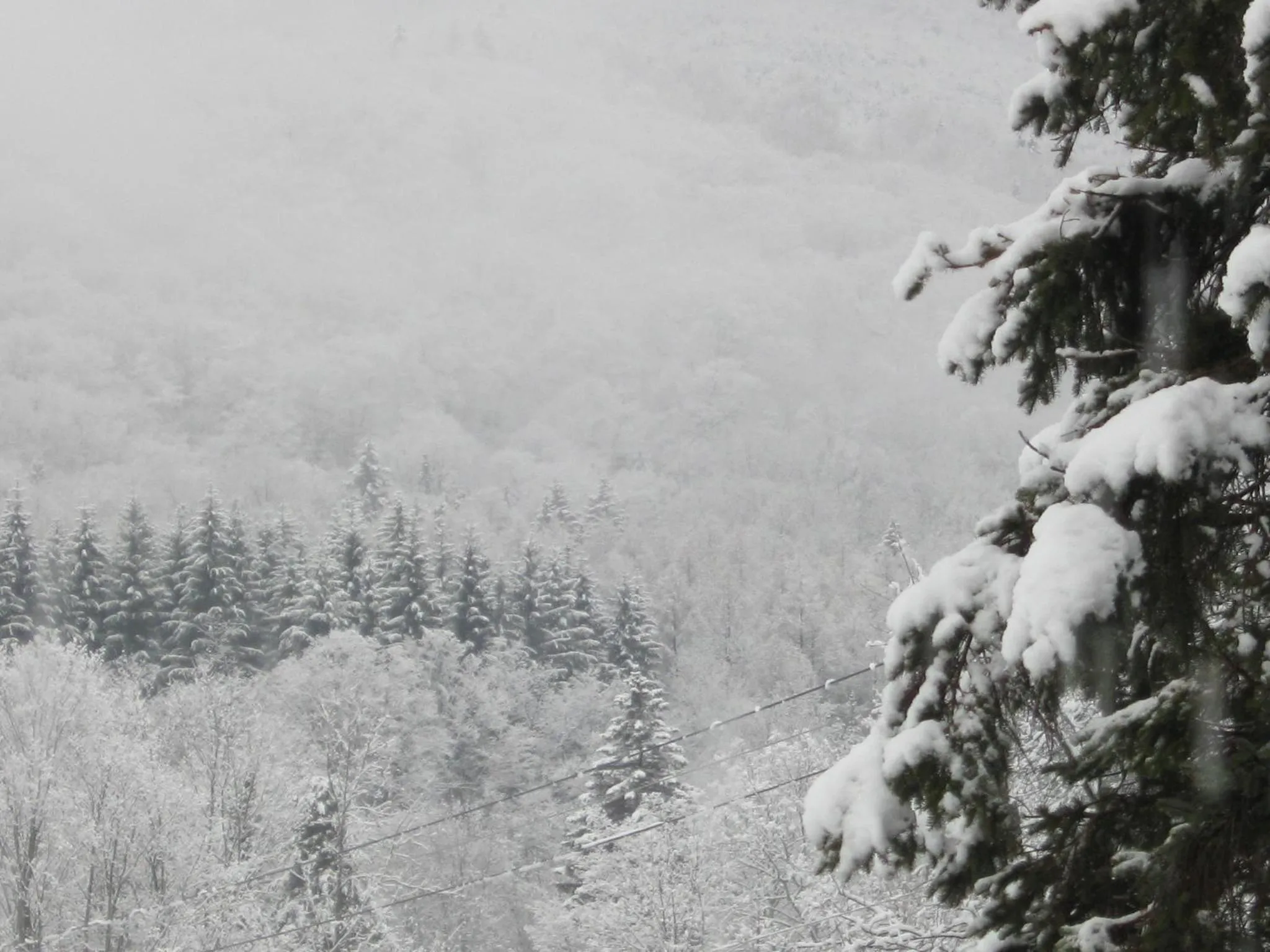 Winter in Deerhill Inn