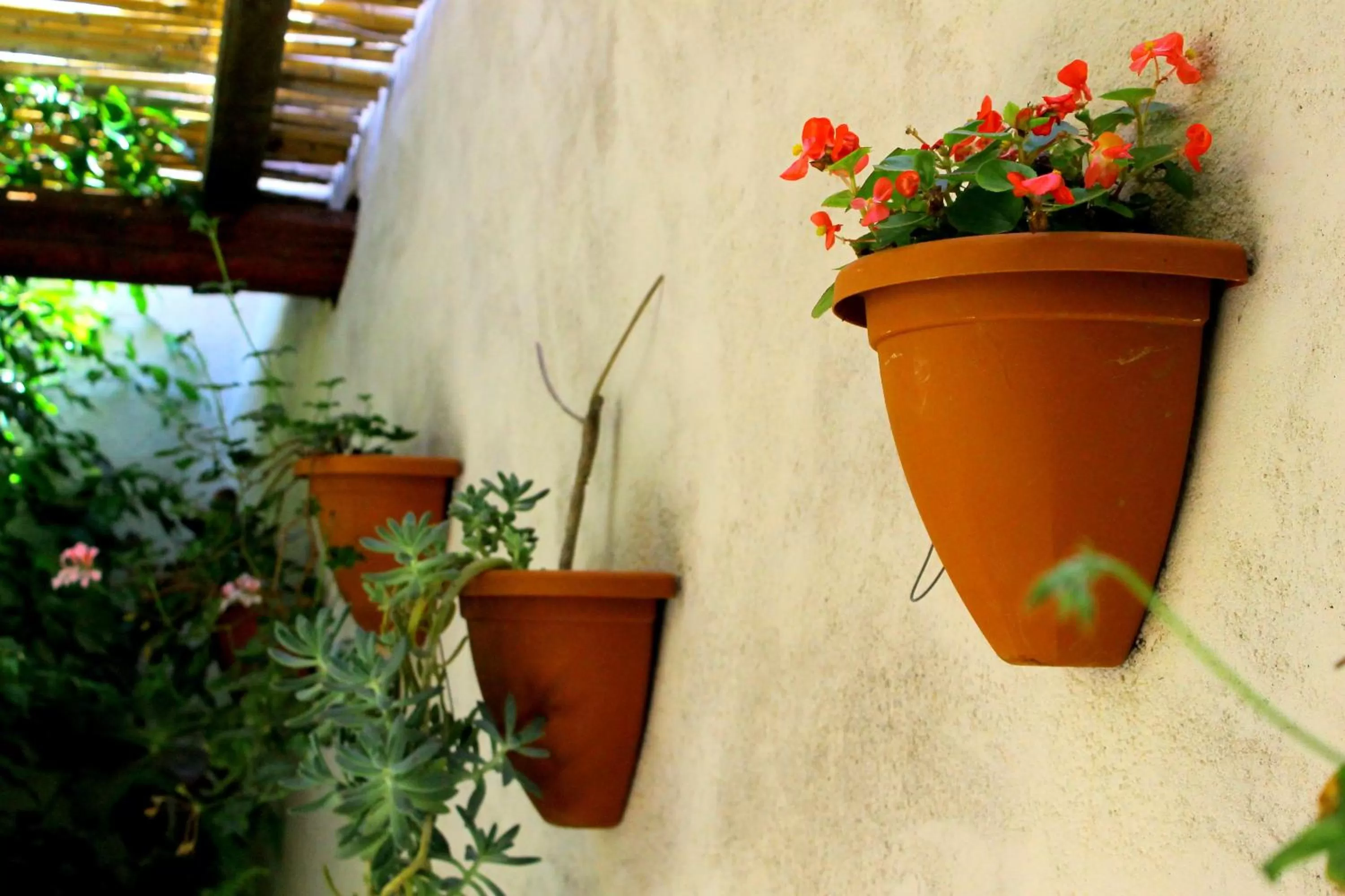 Property building in B&B Rita E Renzo