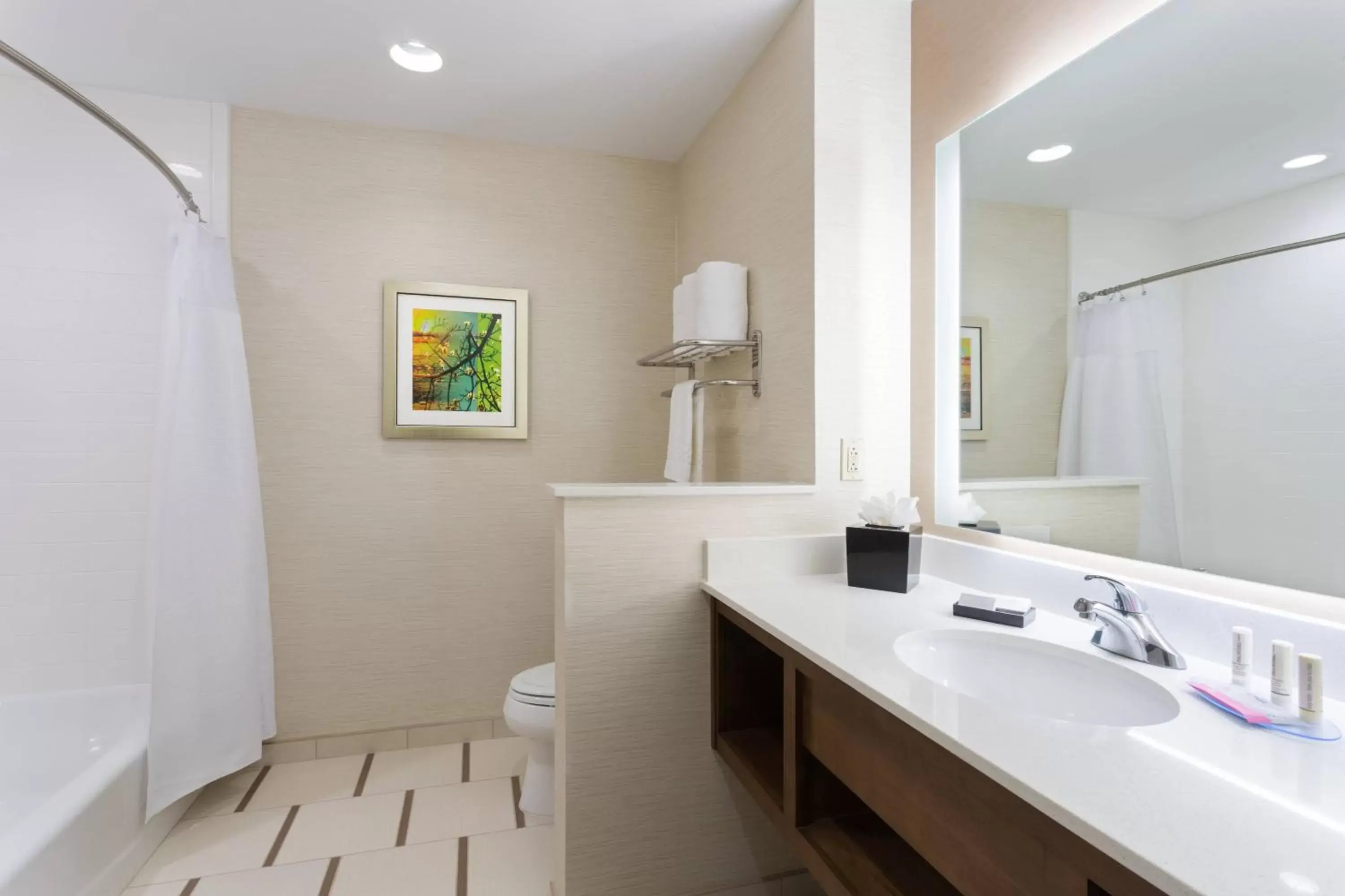 Bathroom in Fairfield Inn & Suites by Marriott Fort Stockton