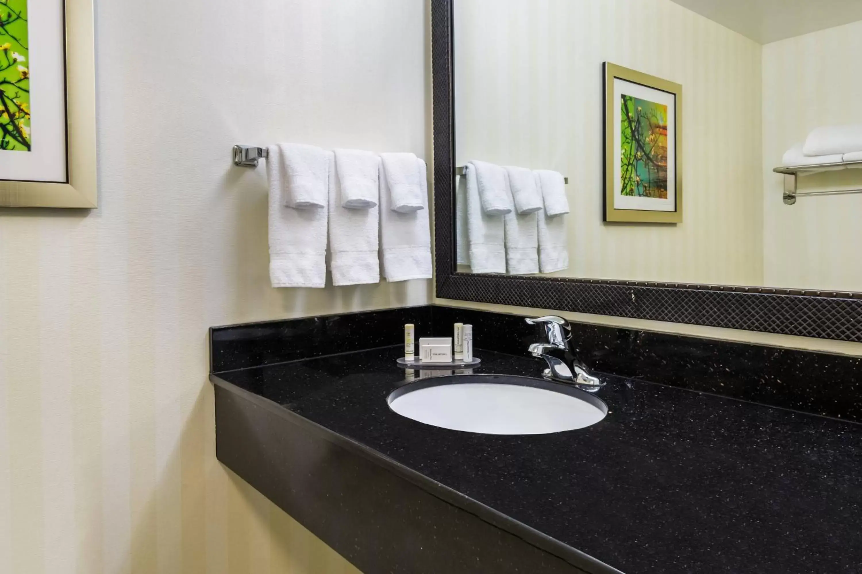 Bathroom in Fairfield Inn & Suites – Buffalo Airport