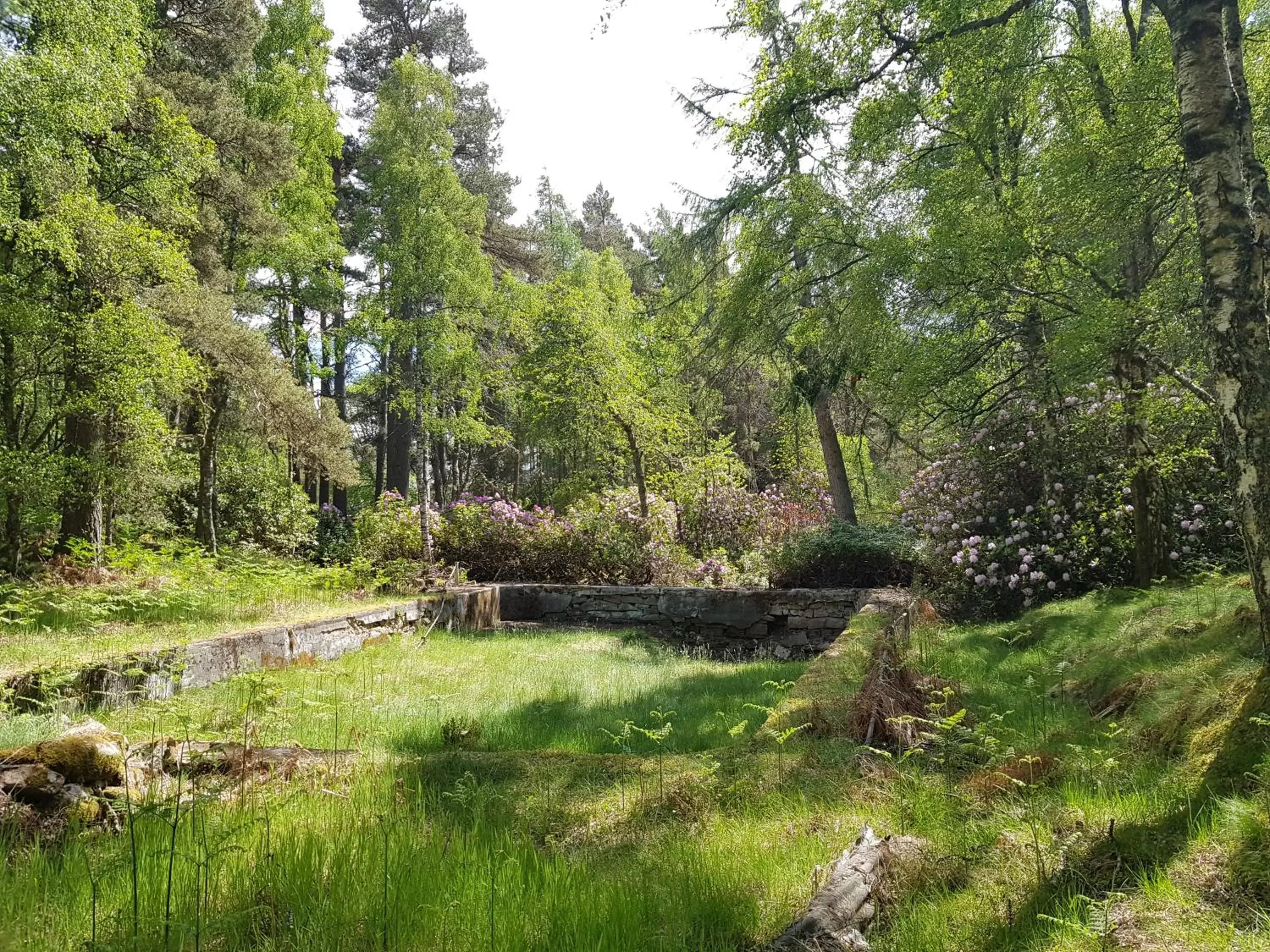 Garden, Natural Landscape in Cambus O' May Hotel