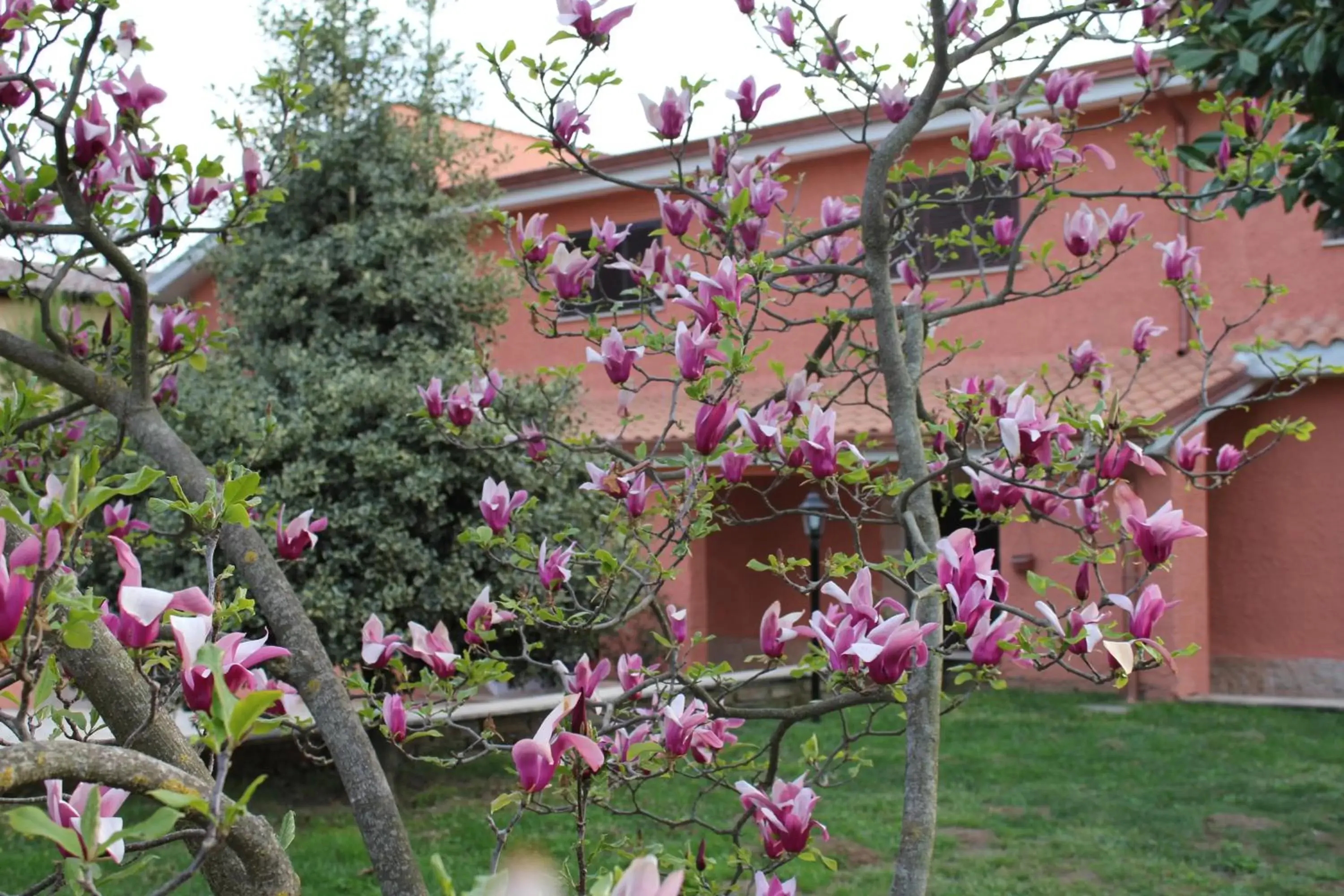 Garden in Il sottosopra