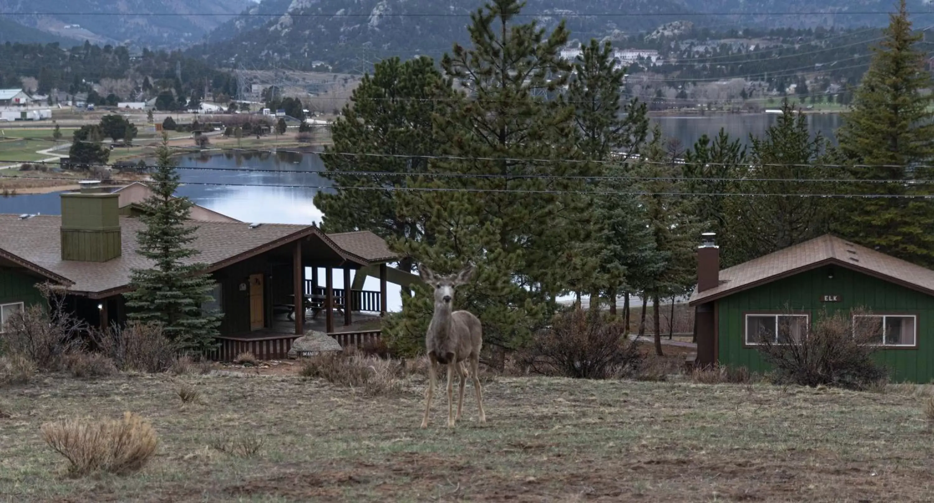 Property Building in Estes Lake Lodge