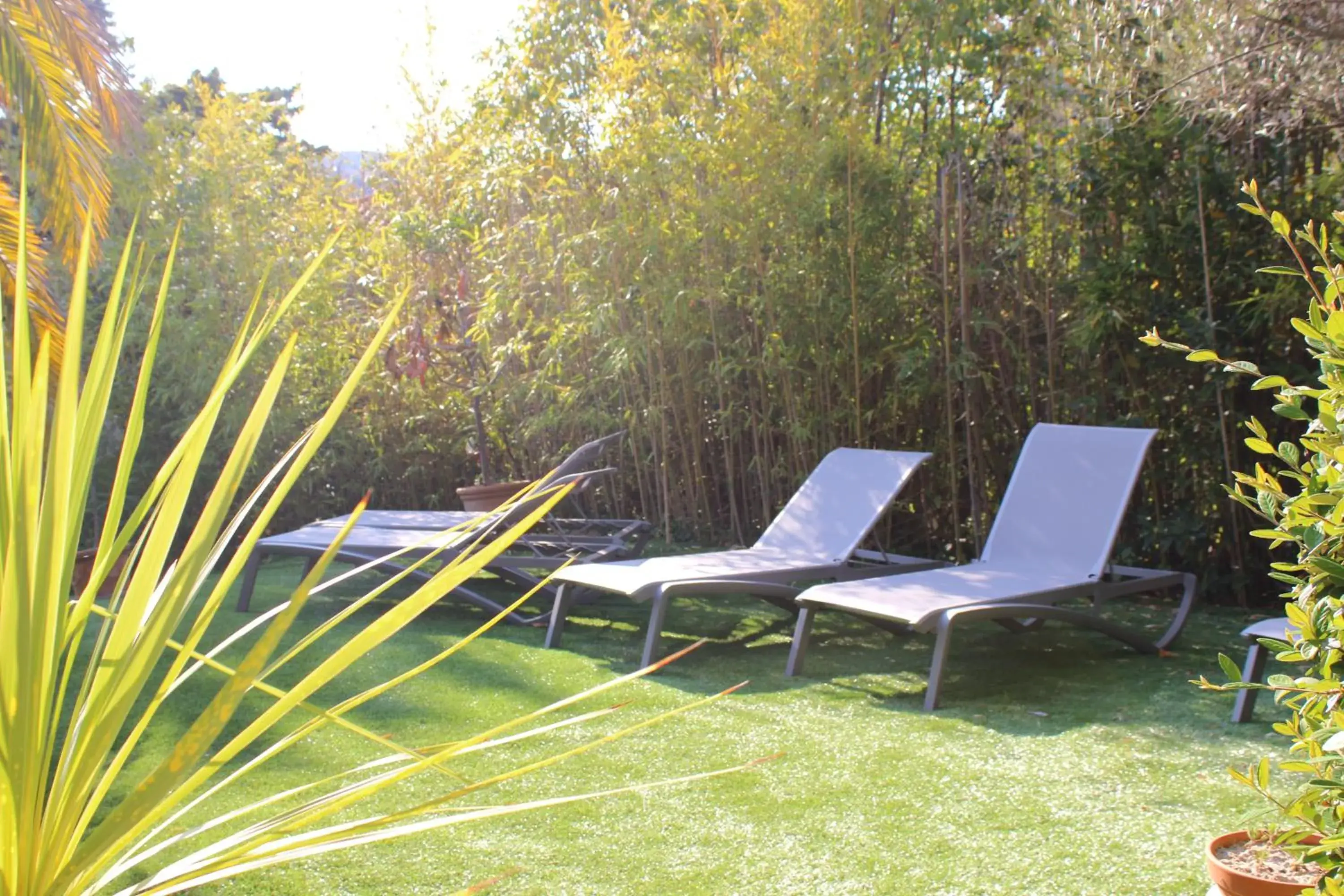 Swimming pool in Royal Cottage