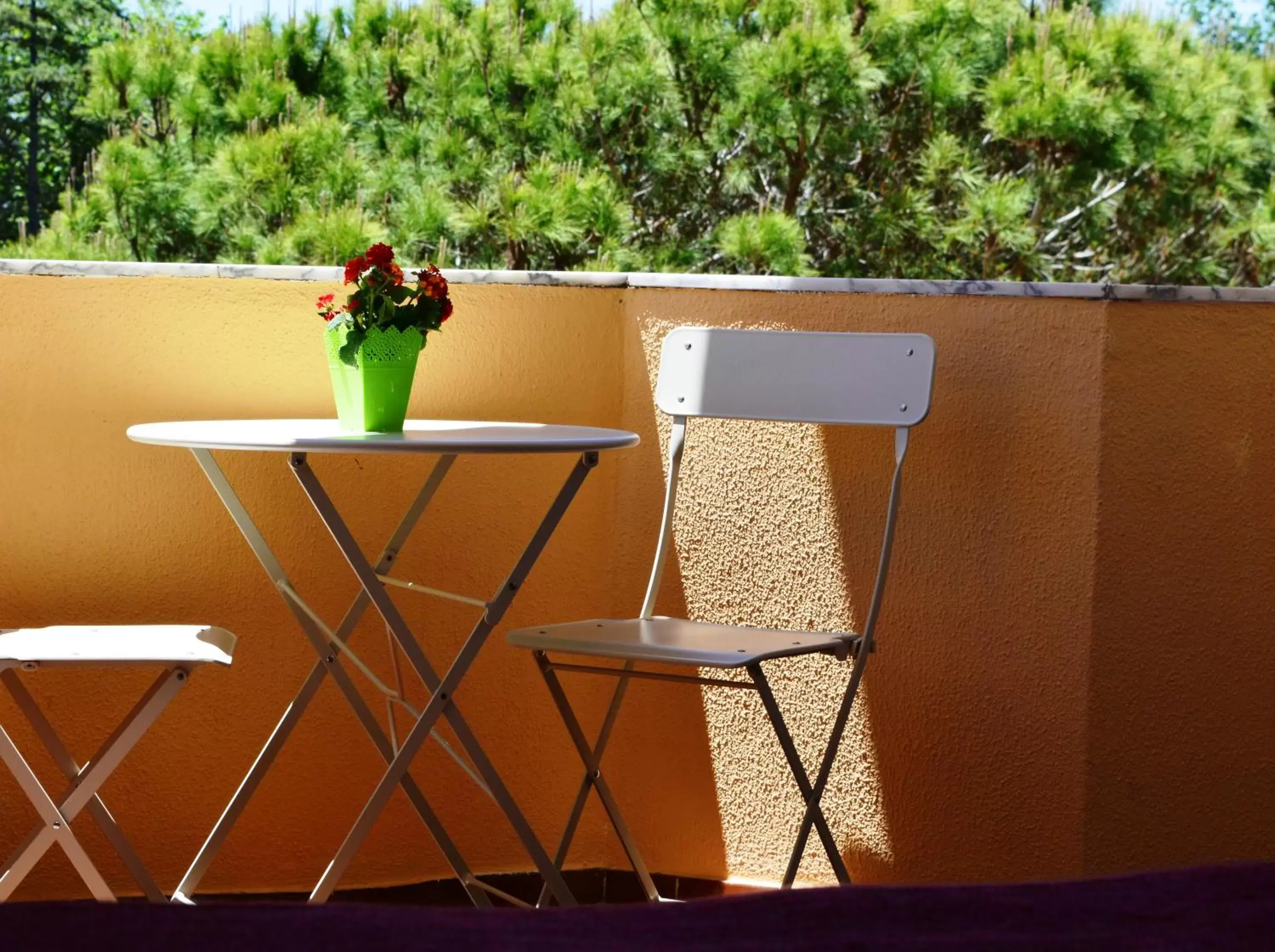 Decorative detail, Balcony/Terrace in Hotel Apolo