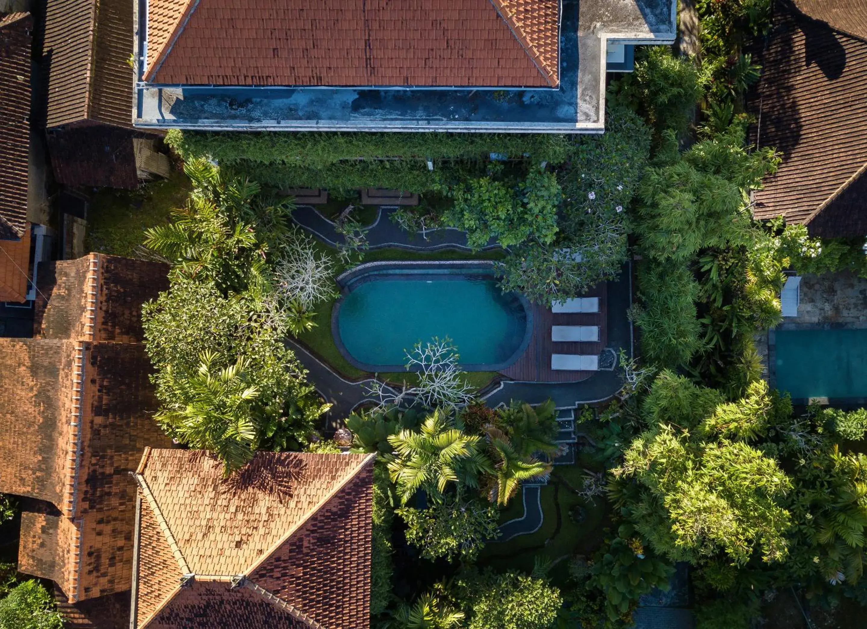 Day, Pool View in Padma Ubud Retreat