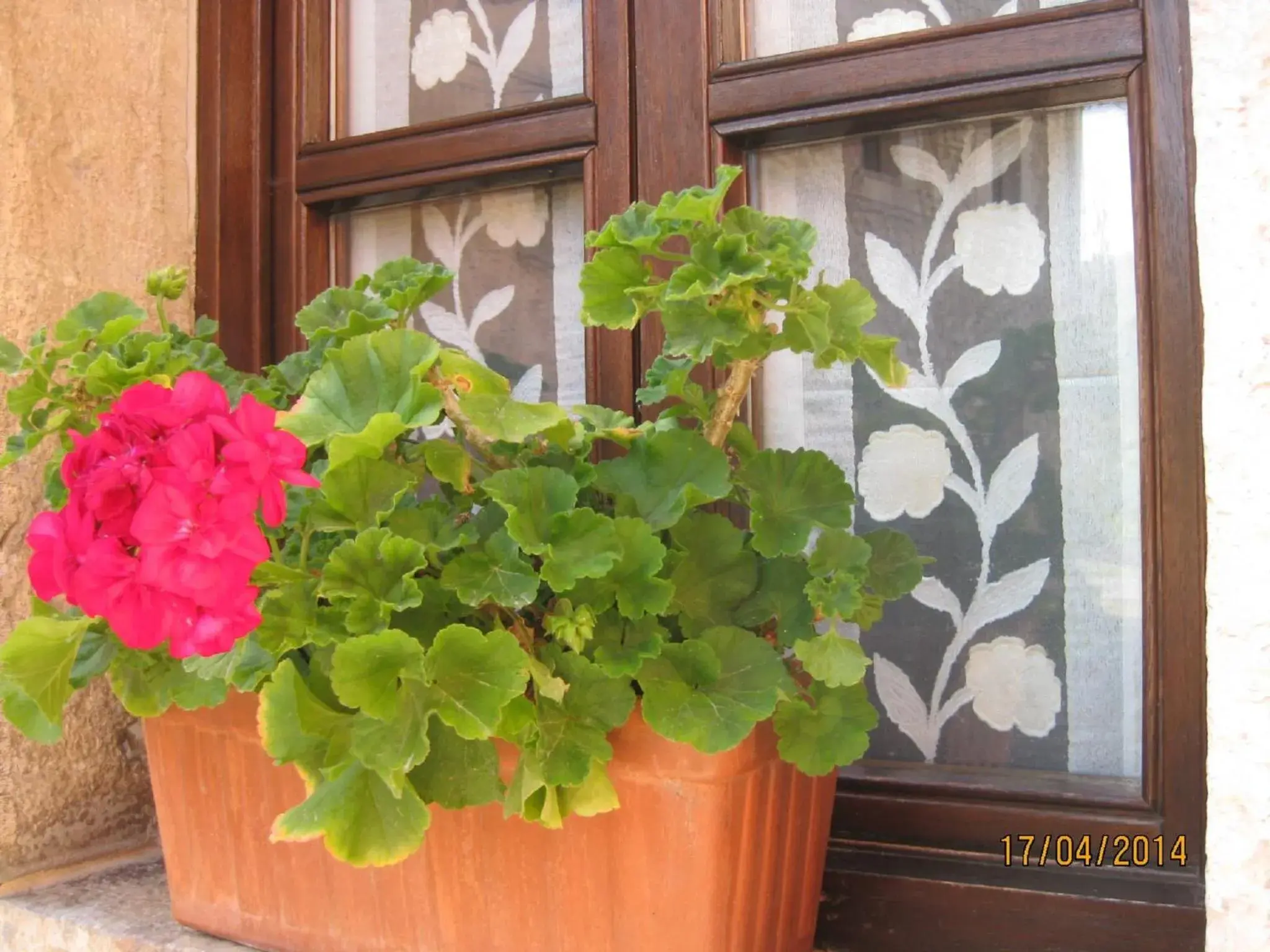 Facade/Entrance in Hotel Rural Entremontes