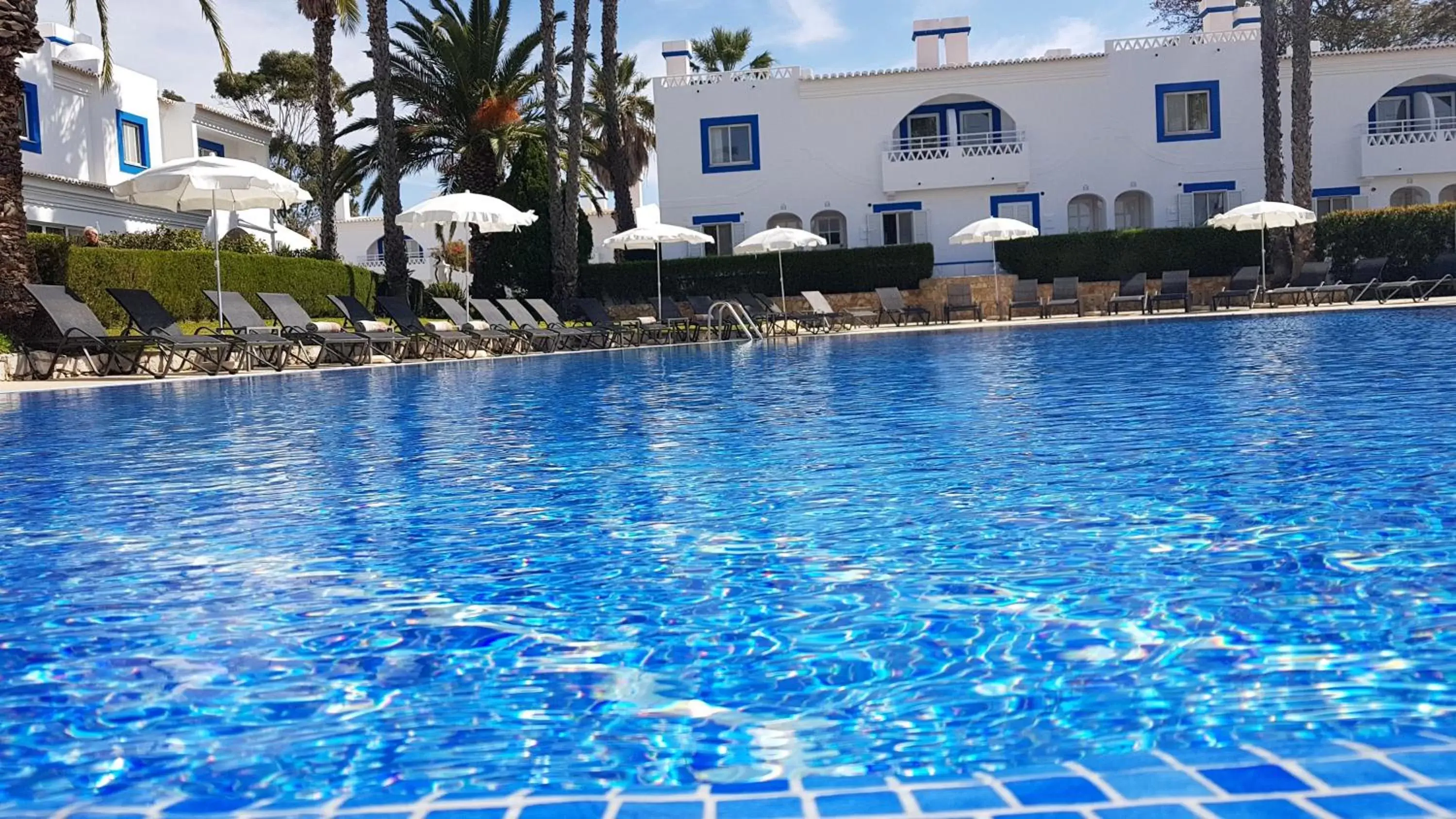 Swimming Pool in Pestana Palm Gardens