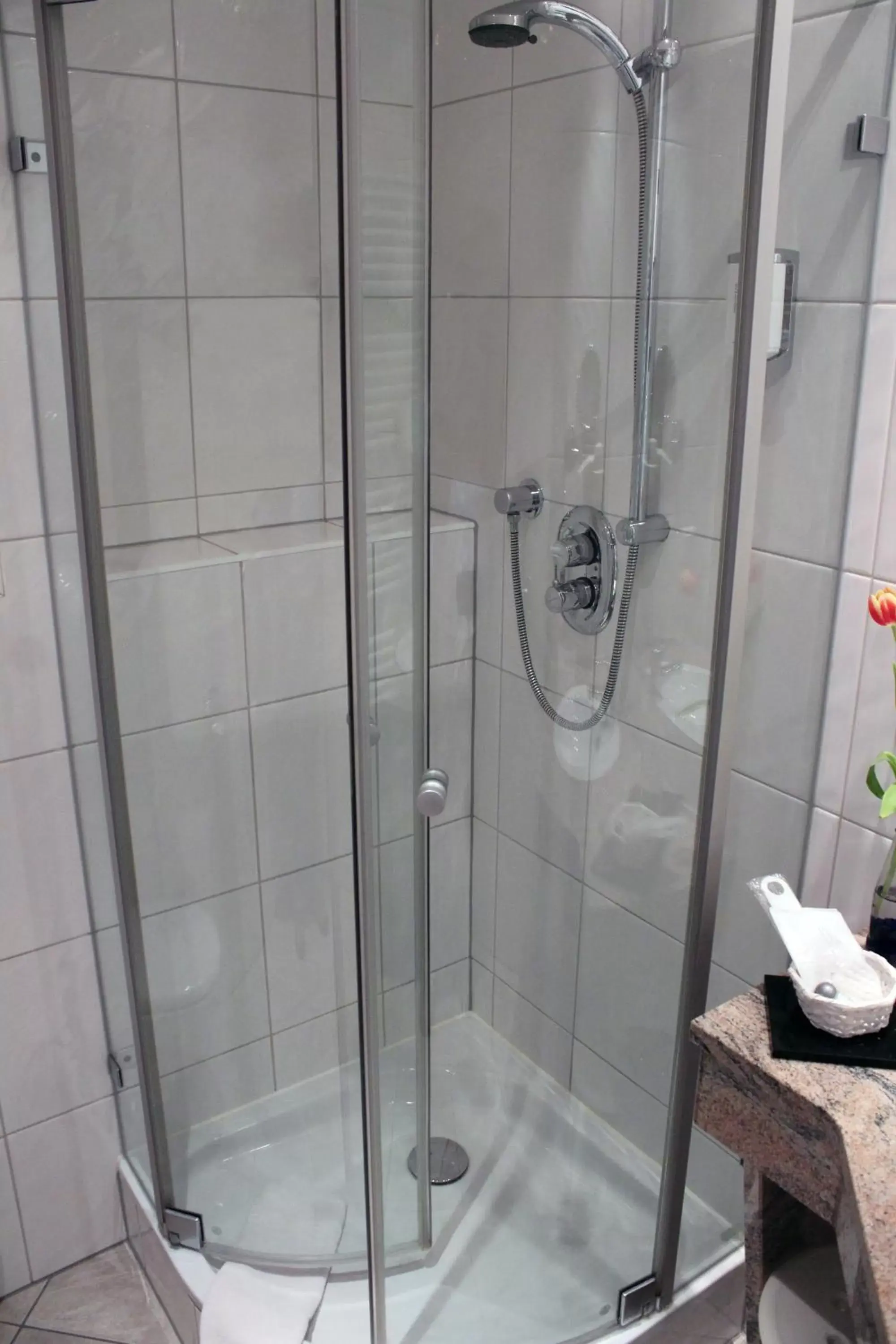 Shower, Bathroom in Altstadthotel der Patrizier