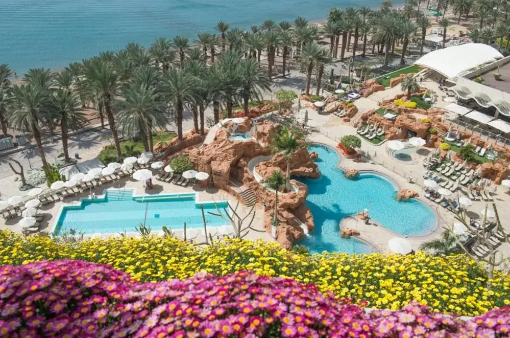 Swimming pool, Pool View in Dan Eilat Hotel