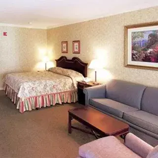 Bed in Stoweflake Mountain Resort & Spa
