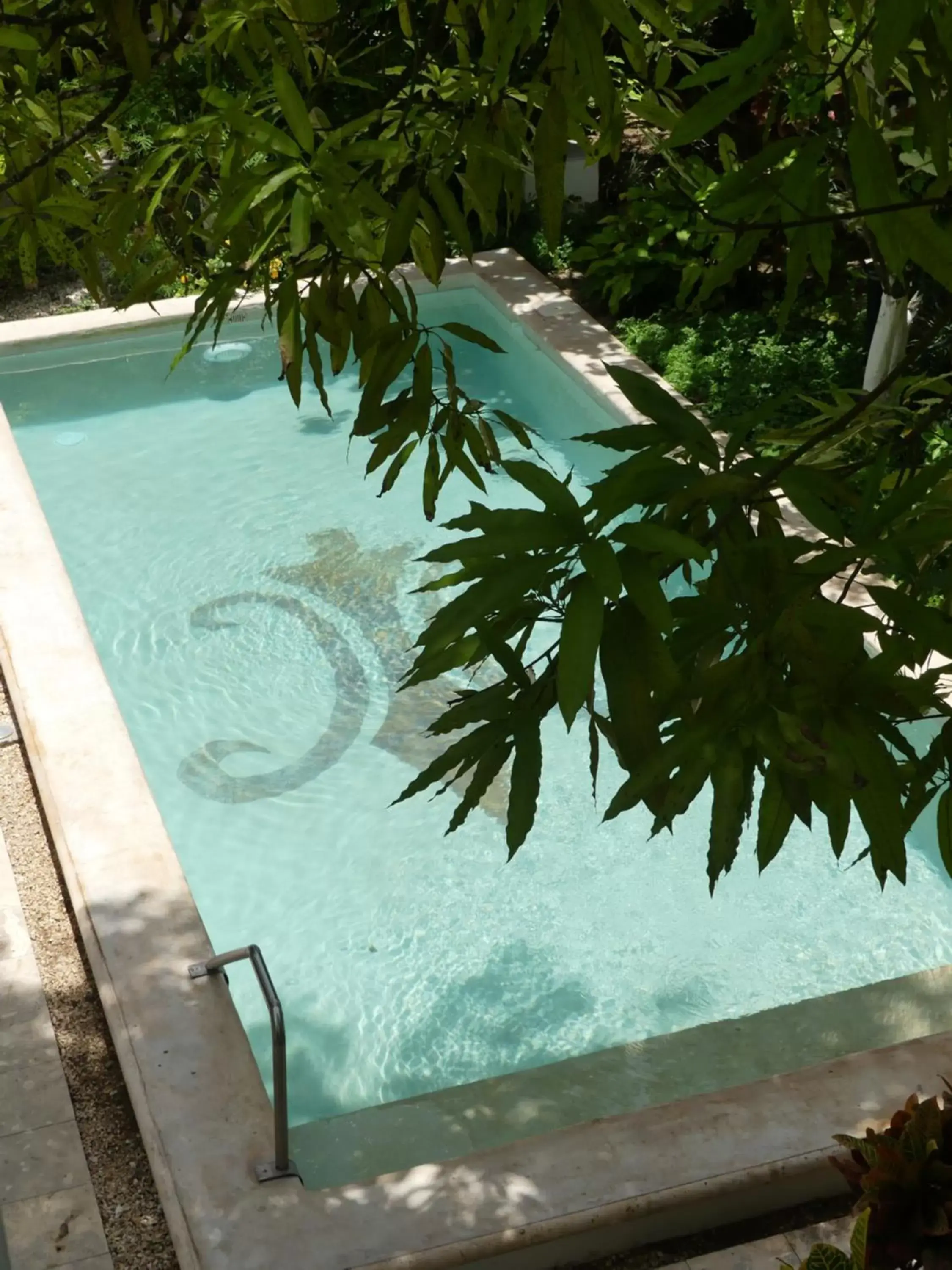 Garden, Pool View in Casa Valladolid Boutique Hotel