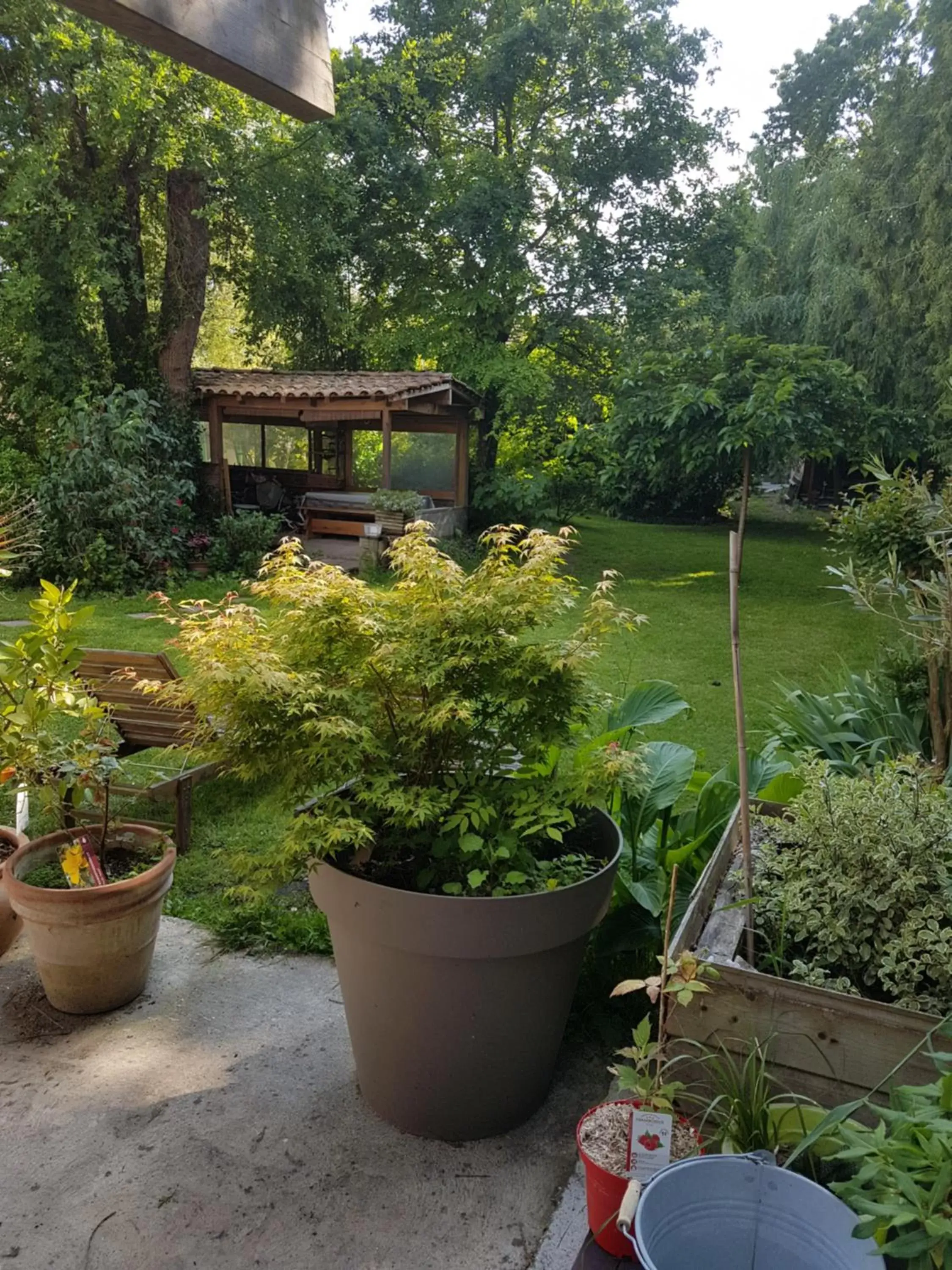 Garden view in Maison Lucilda