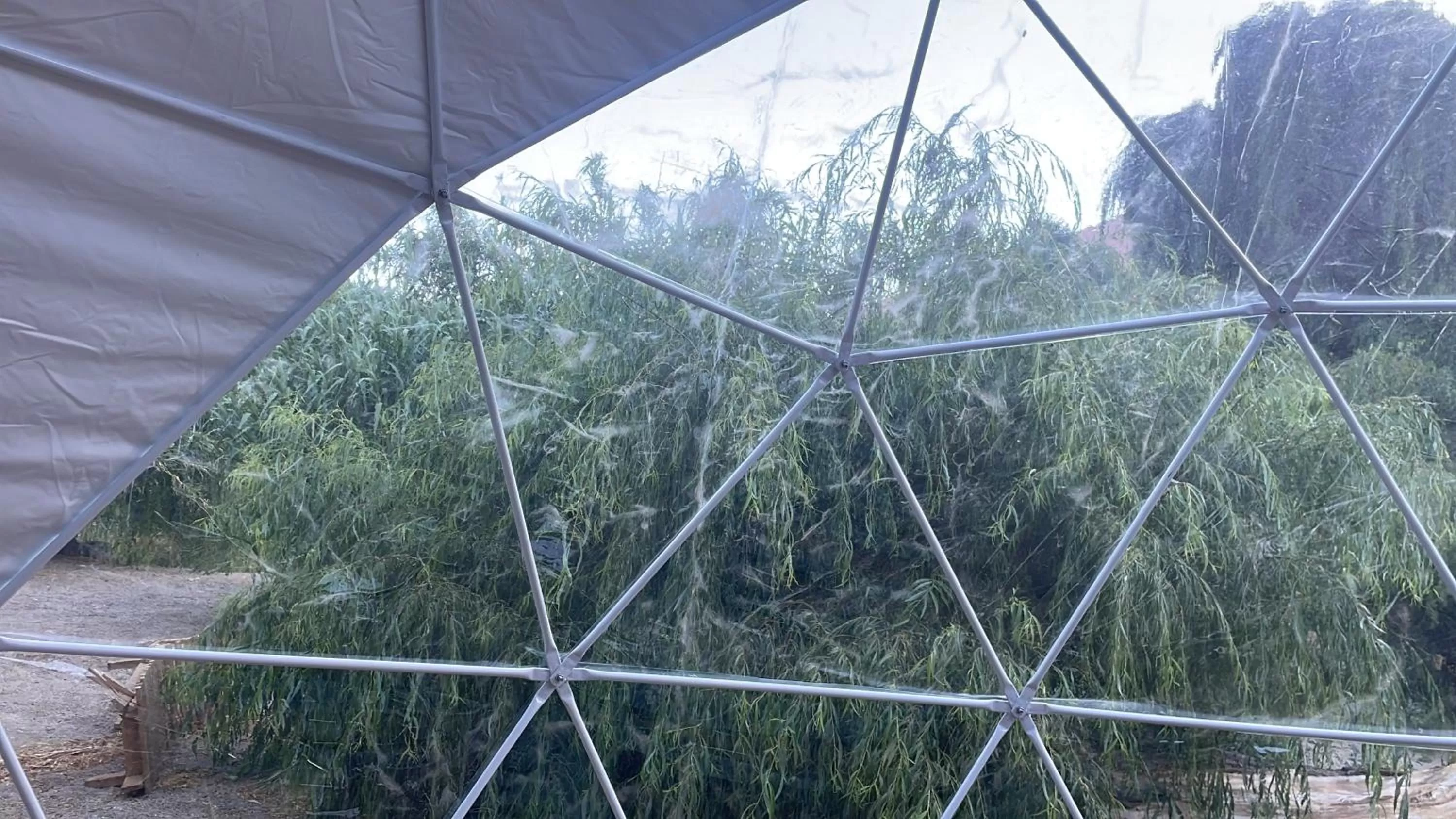 Other Activities in Glamping Miraflores