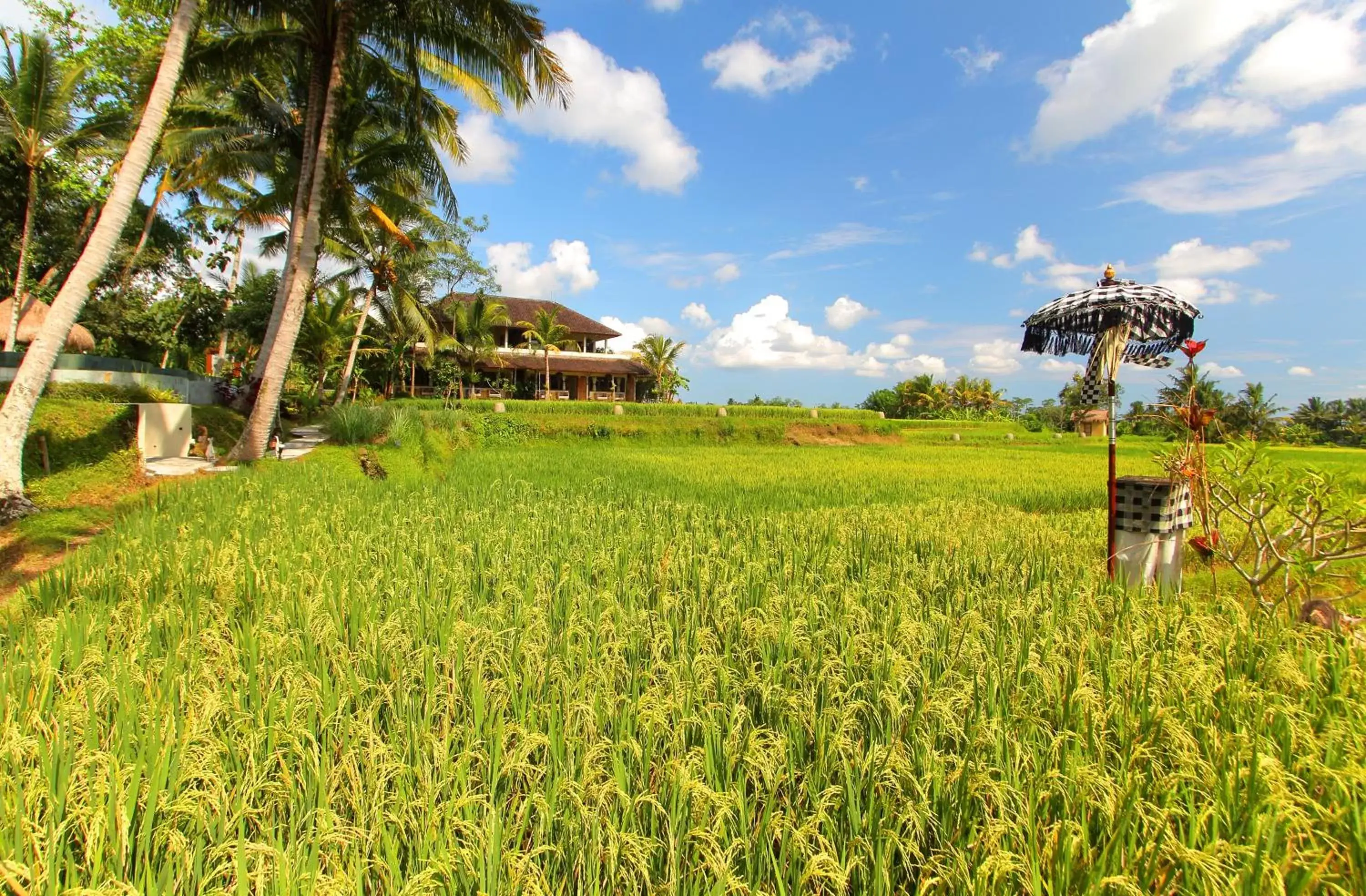 Property building in MATHIS Retreat Ubud