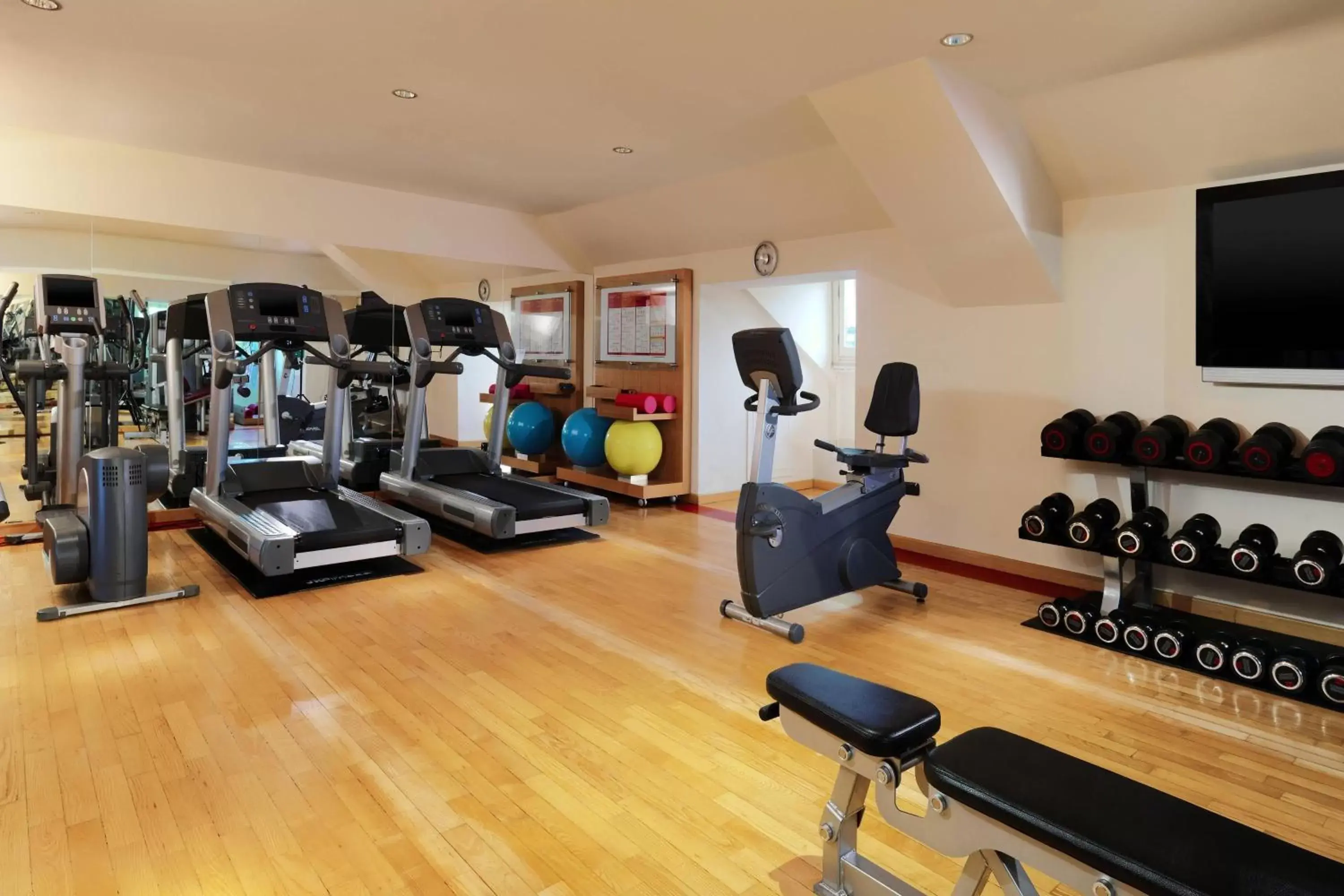 Fitness centre/facilities, Fitness Center/Facilities in Sheraton Diana Majestic
