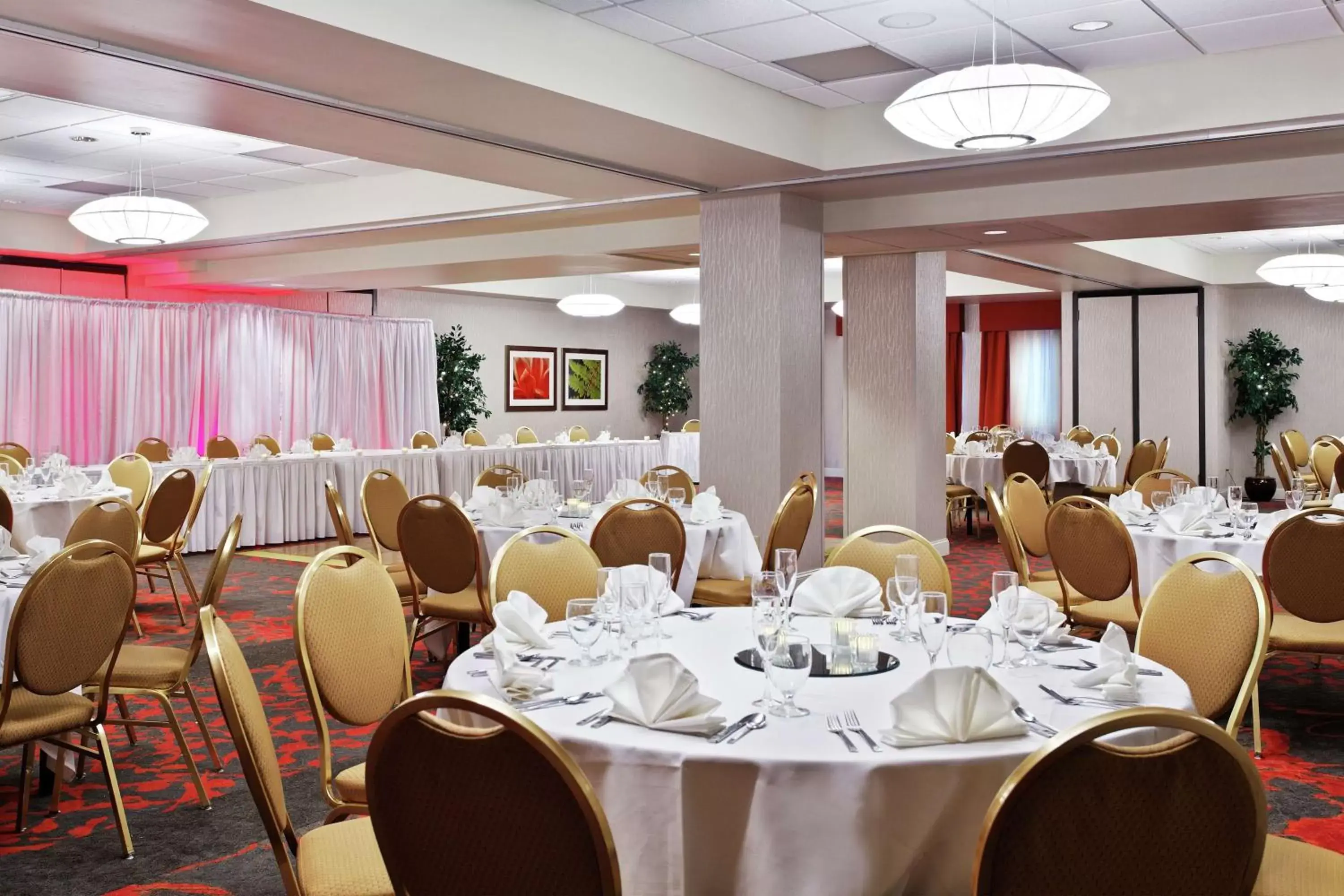 Meeting/conference room, Restaurant/Places to Eat in Hilton Garden Inn Springfield, IL