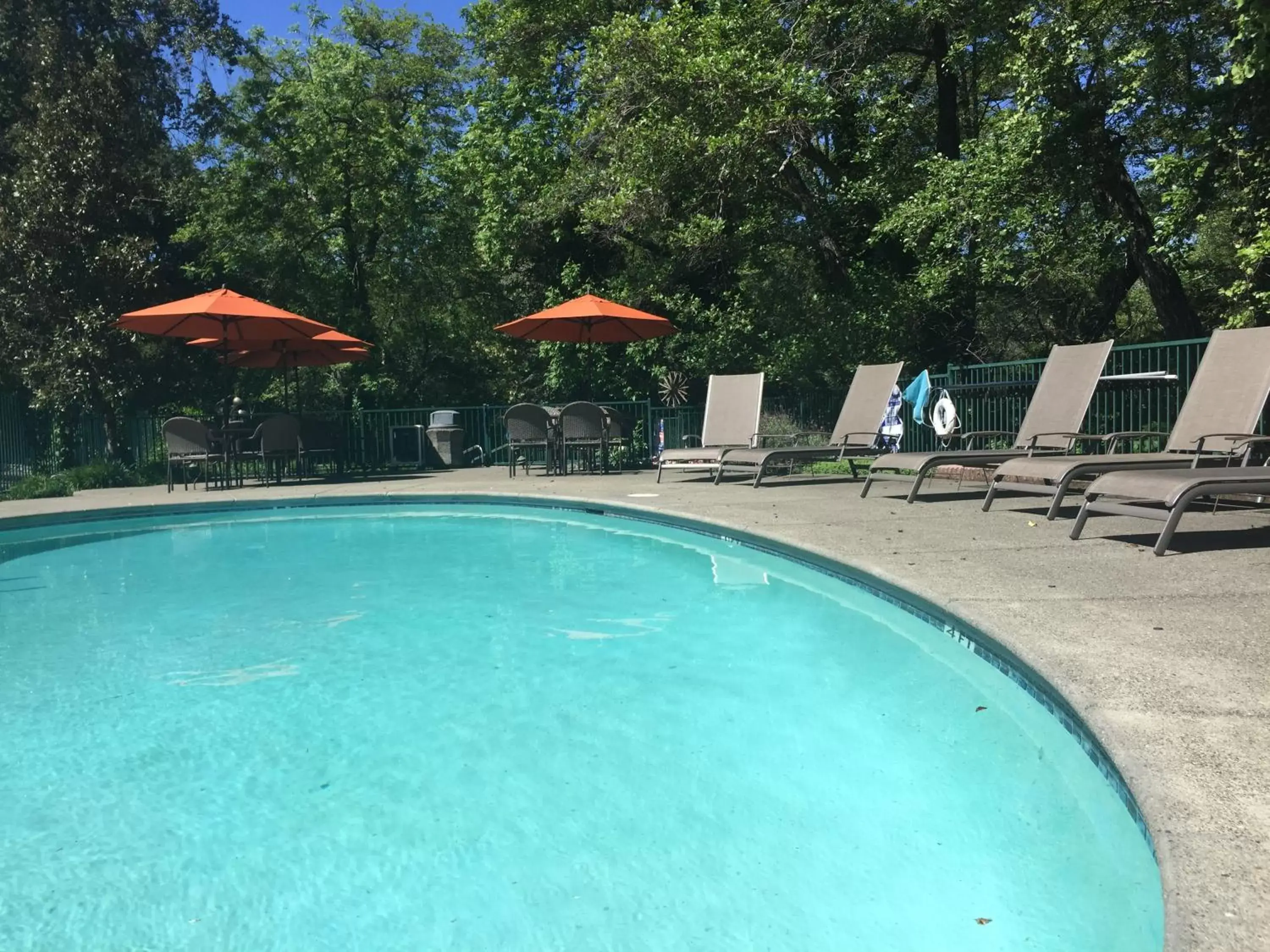 Swimming Pool in The Jack London Lodge