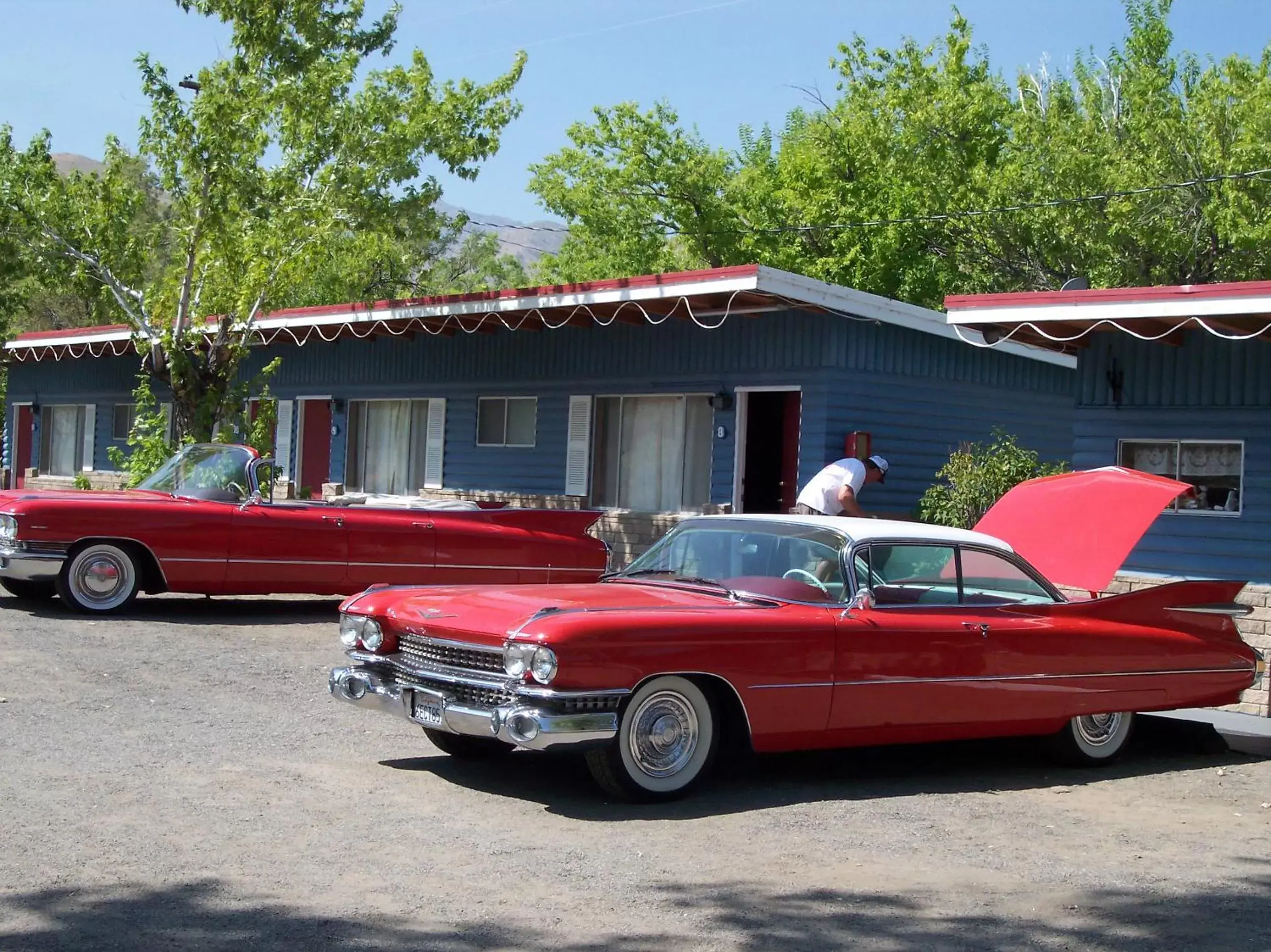 group of guests, Property Building in Toiyabe Motel