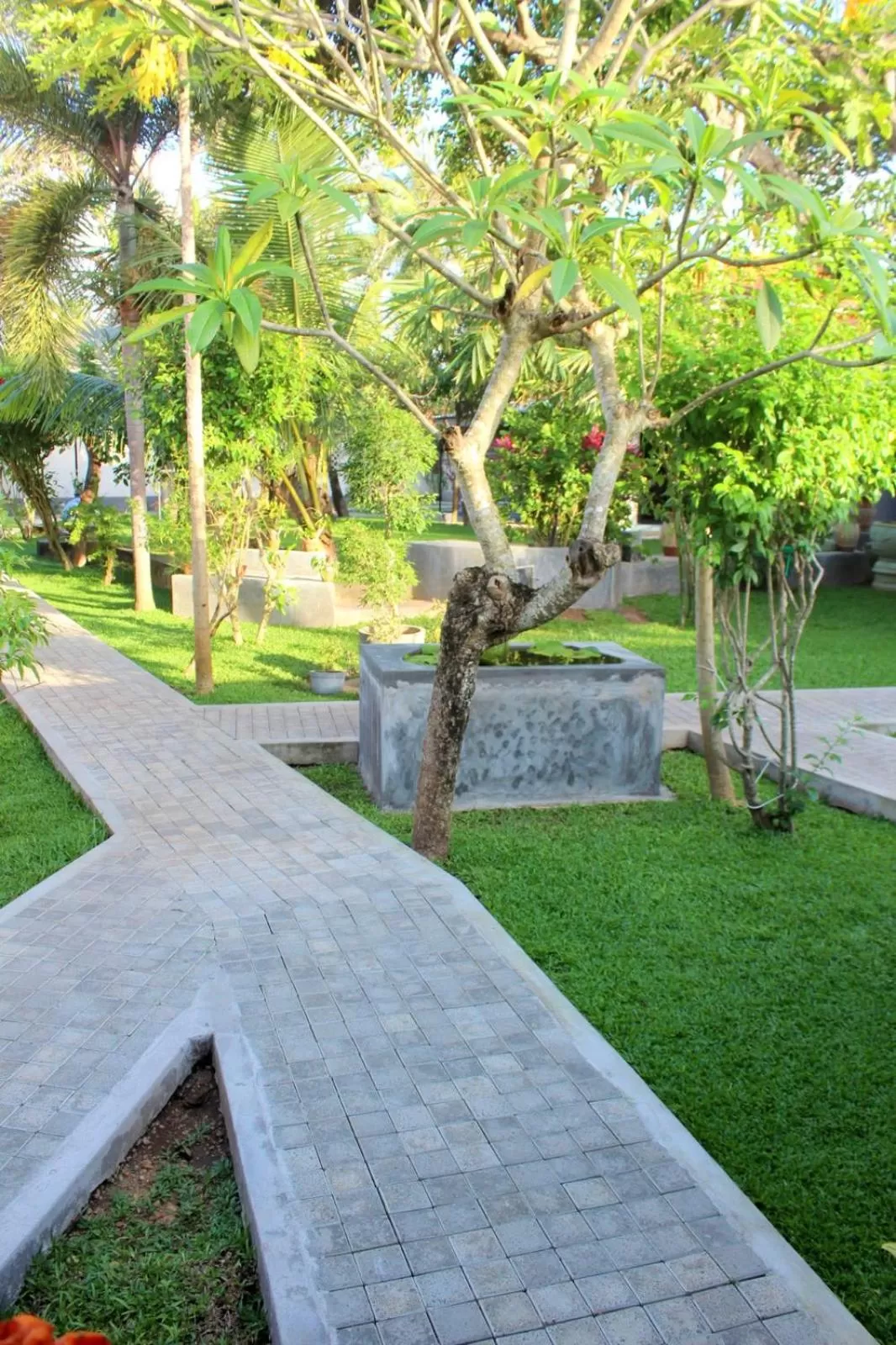 Garden view in Morning Star Resorts