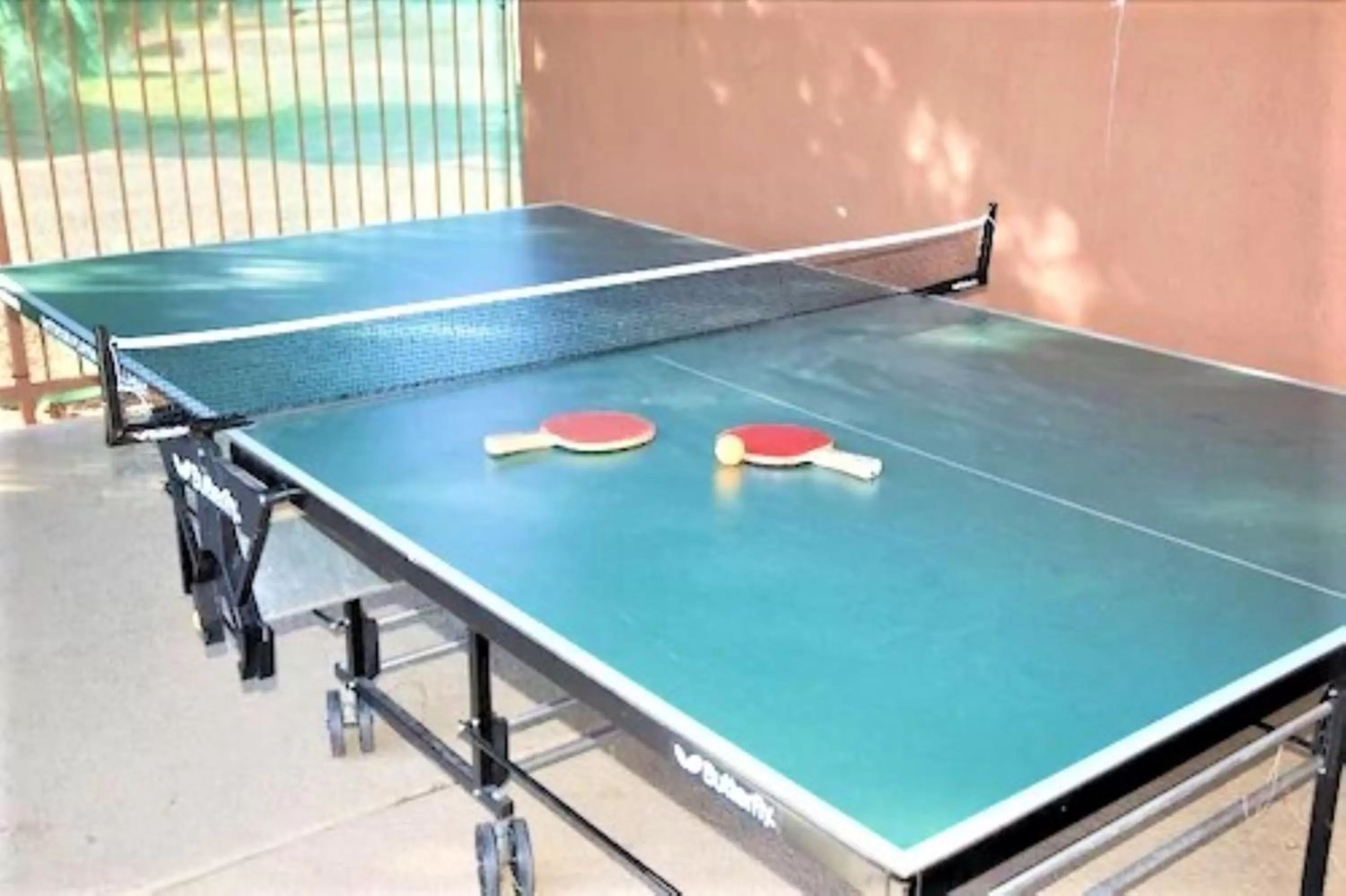 Table tennis in Sedona Pines Resort