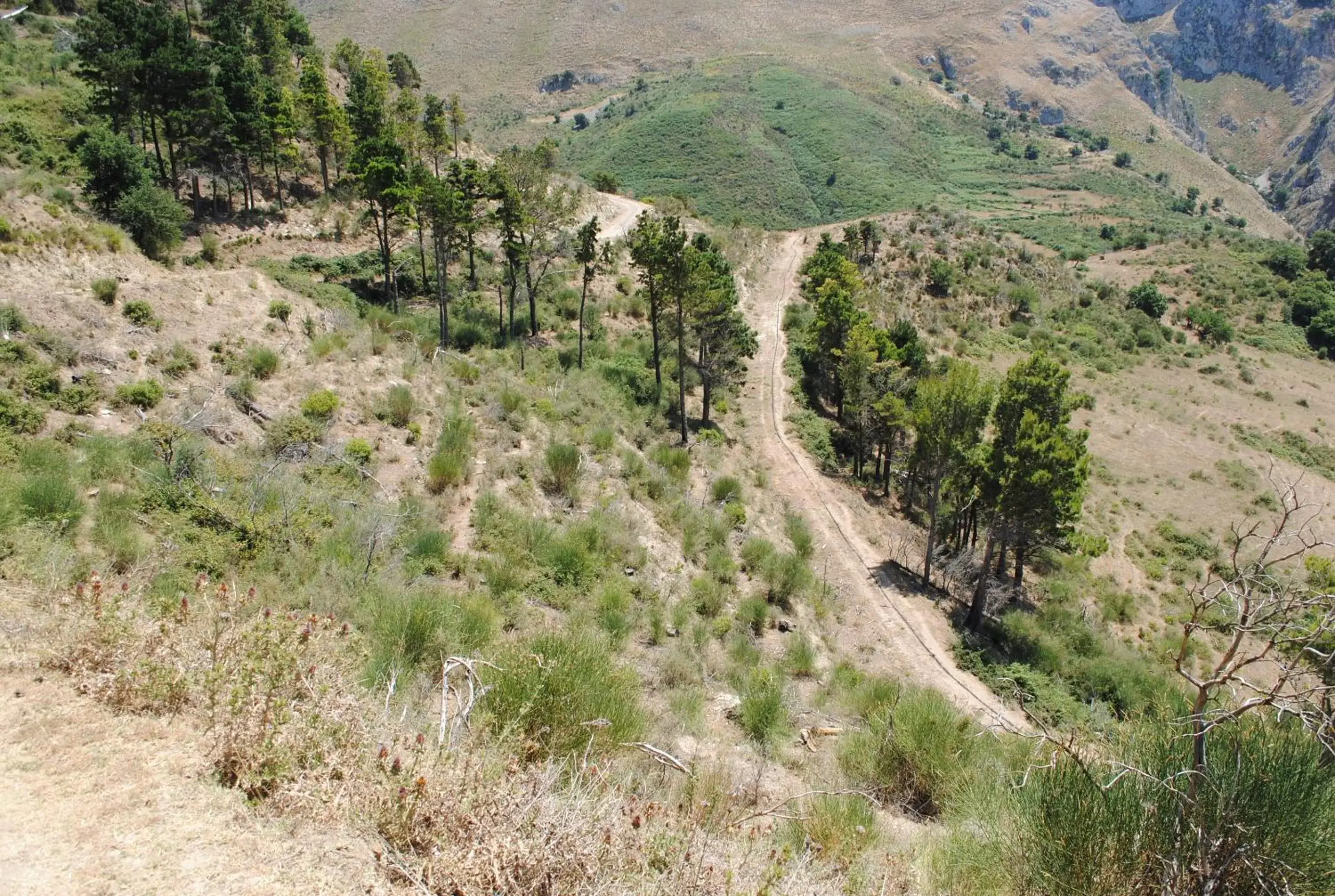 Natural landscape, Bird's-eye View in Bed & Breakfast StudioArcodia