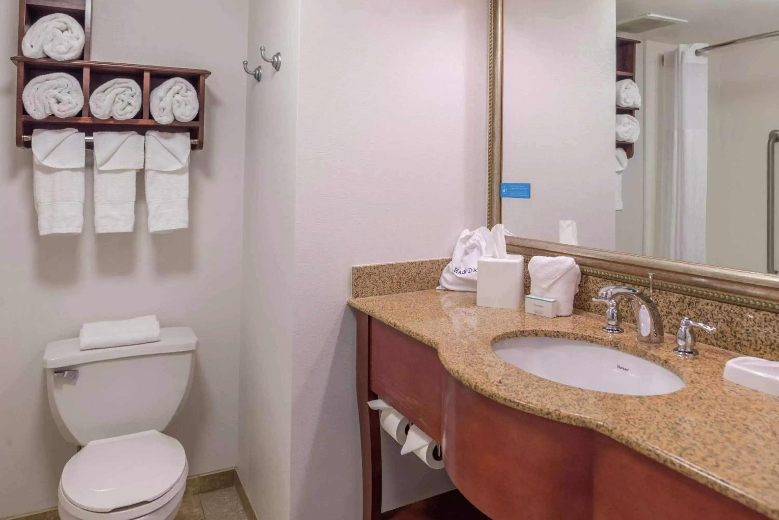 Bathroom in Hampton Inn Columbia Northeast-Fort Jackson Area