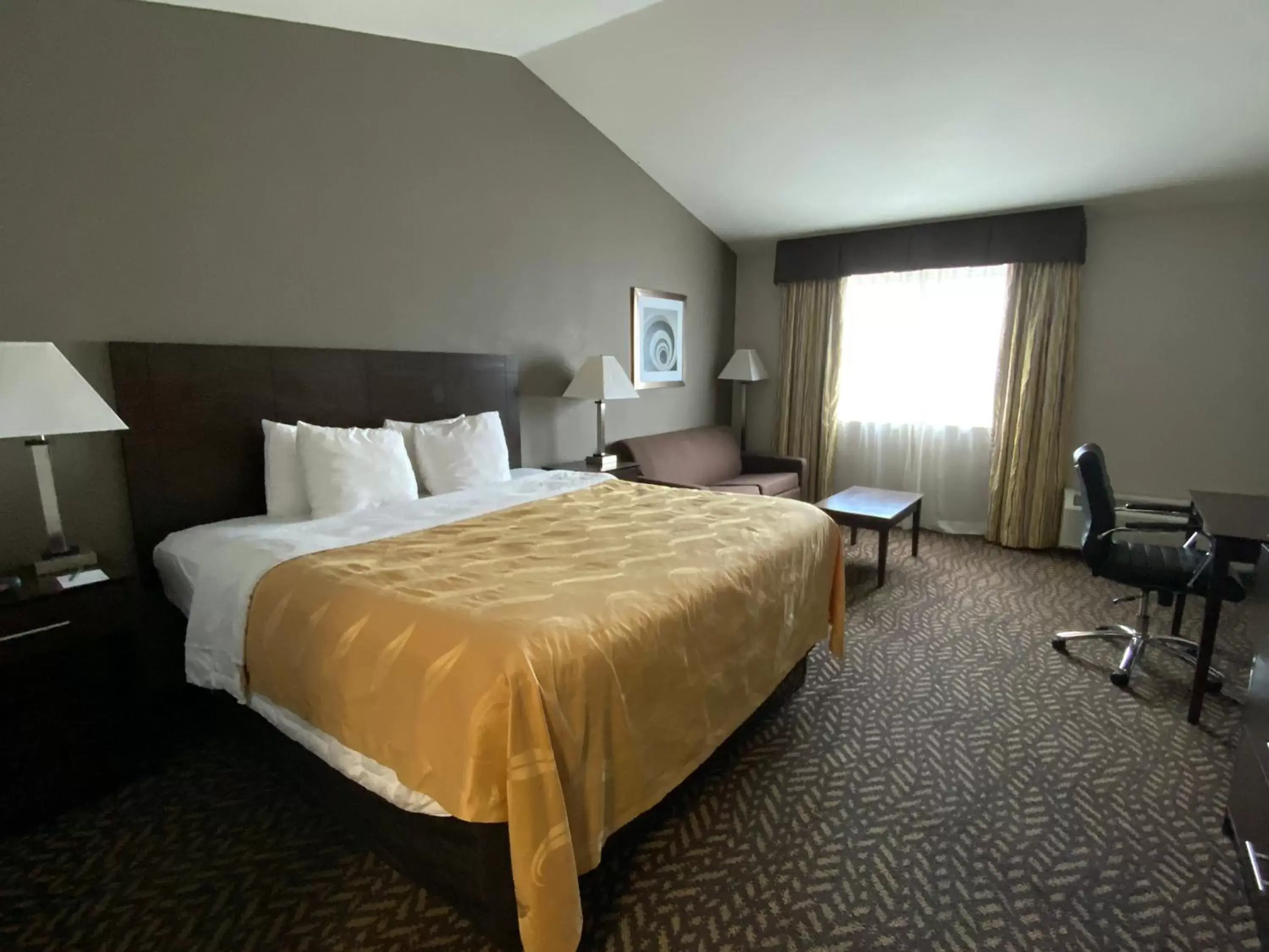 Bed in Quality Inn & Suites University/Airport