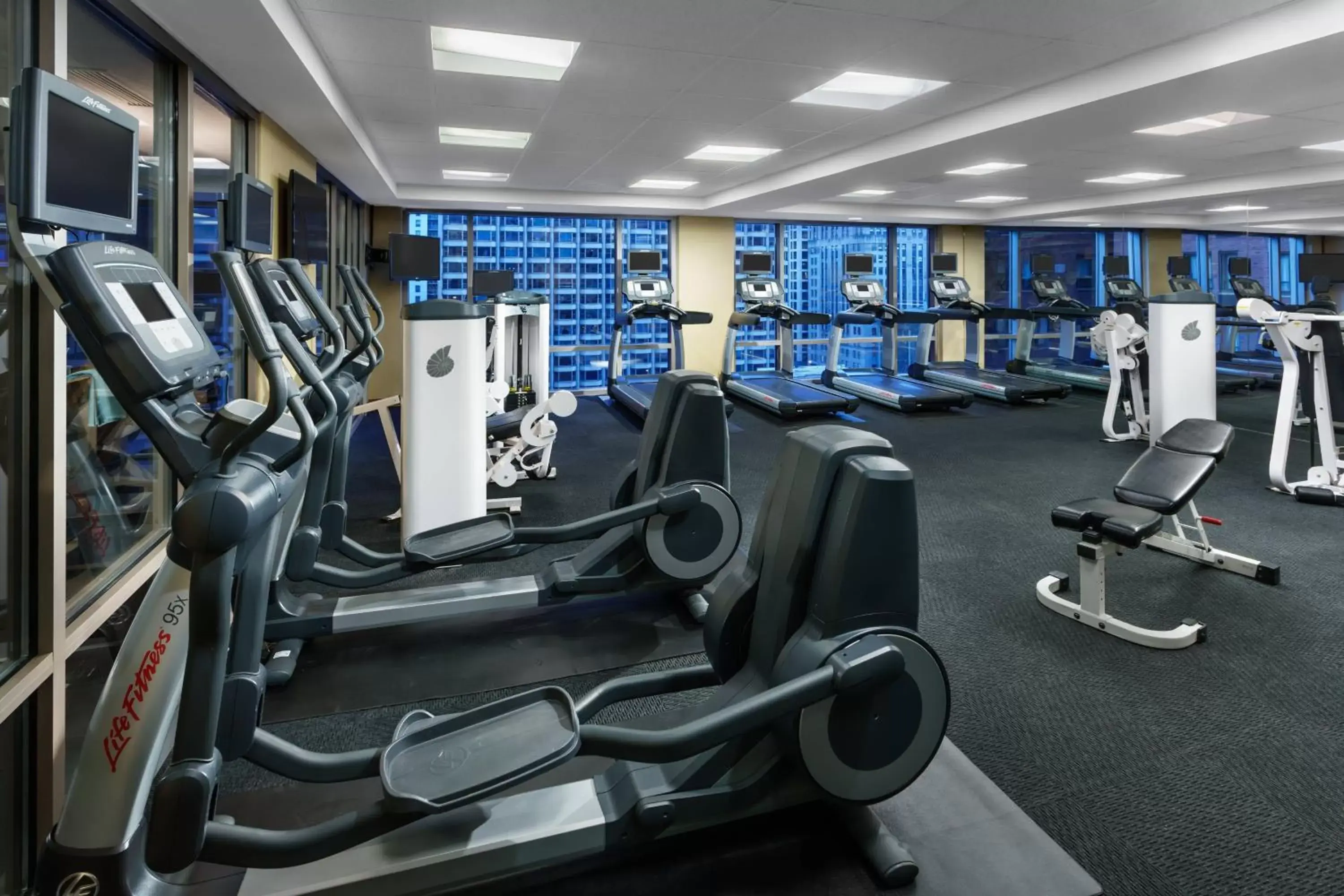 Fitness centre/facilities, Fitness Center/Facilities in Courtyard Chicago Downtown/Magnificent Mile