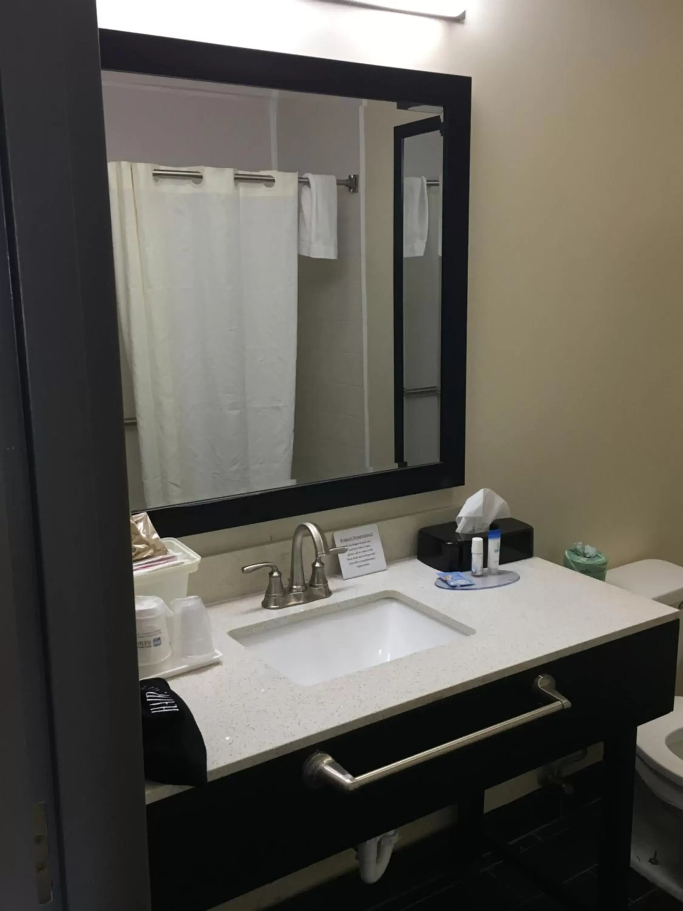 Bathroom in Best Western Travelers Rest/Greenville