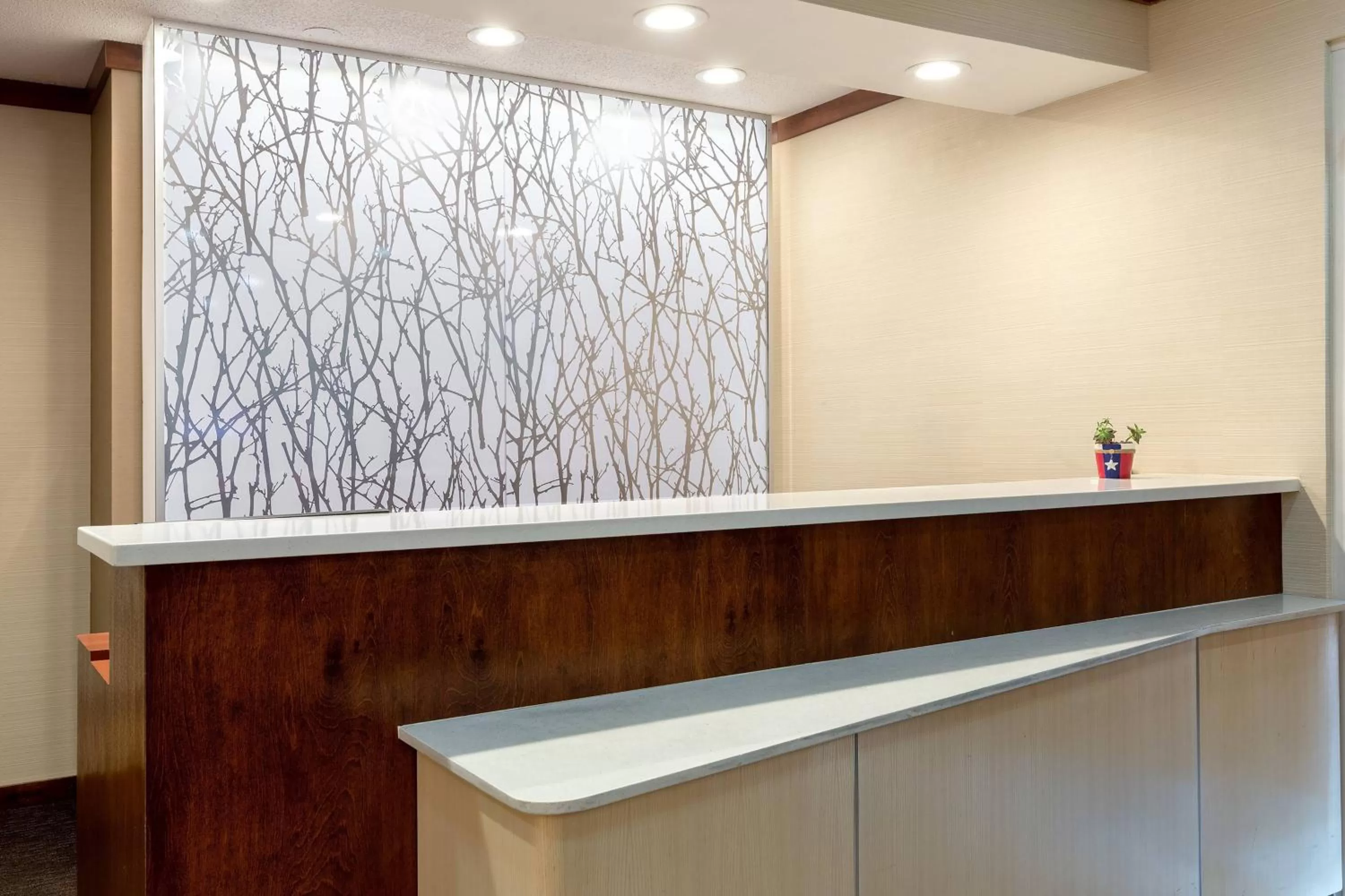 Lobby or reception in Fairfield Inn and Suites Austin South