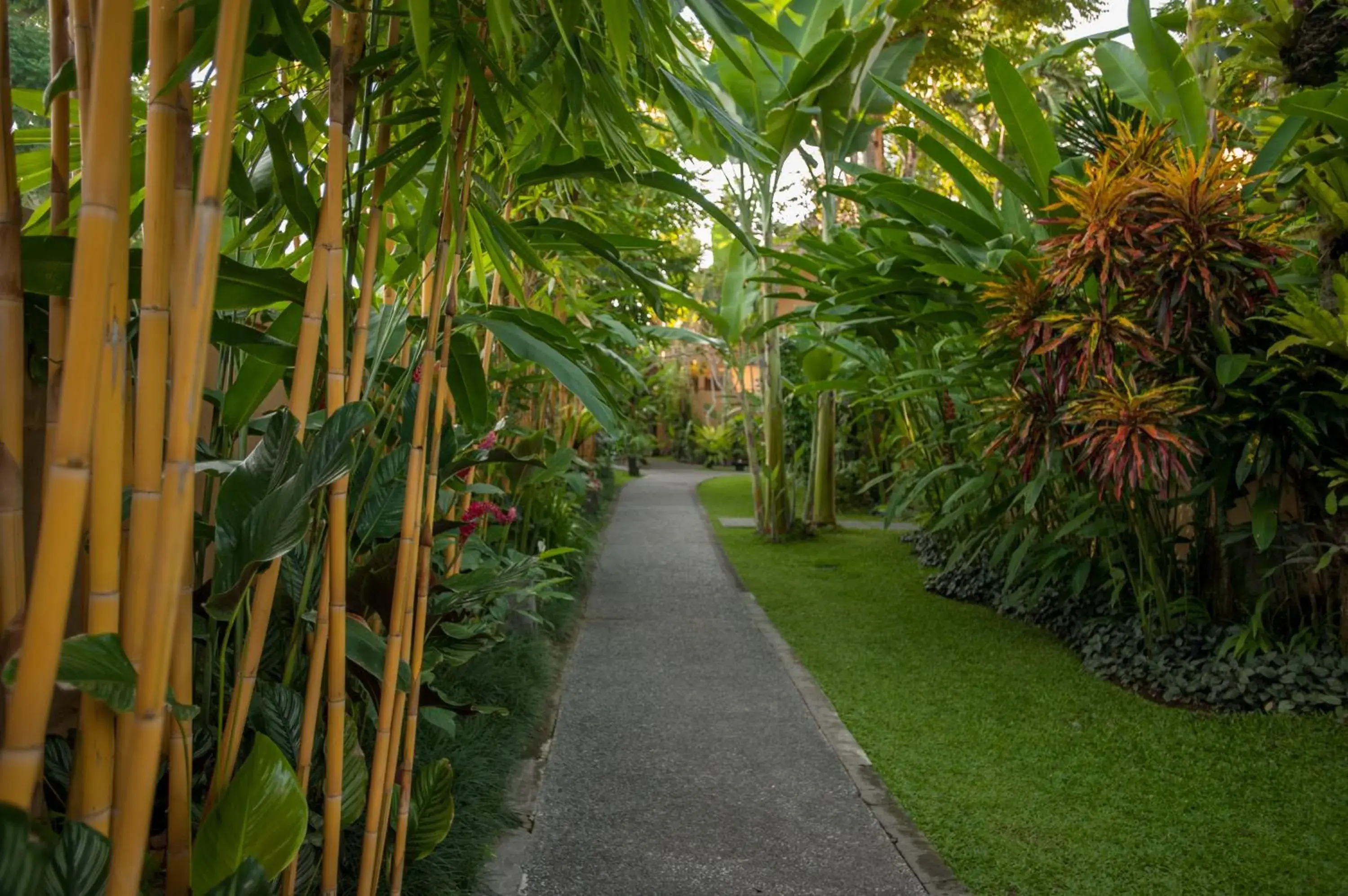 Garden in Komaneka at Monkey Forest Ubud