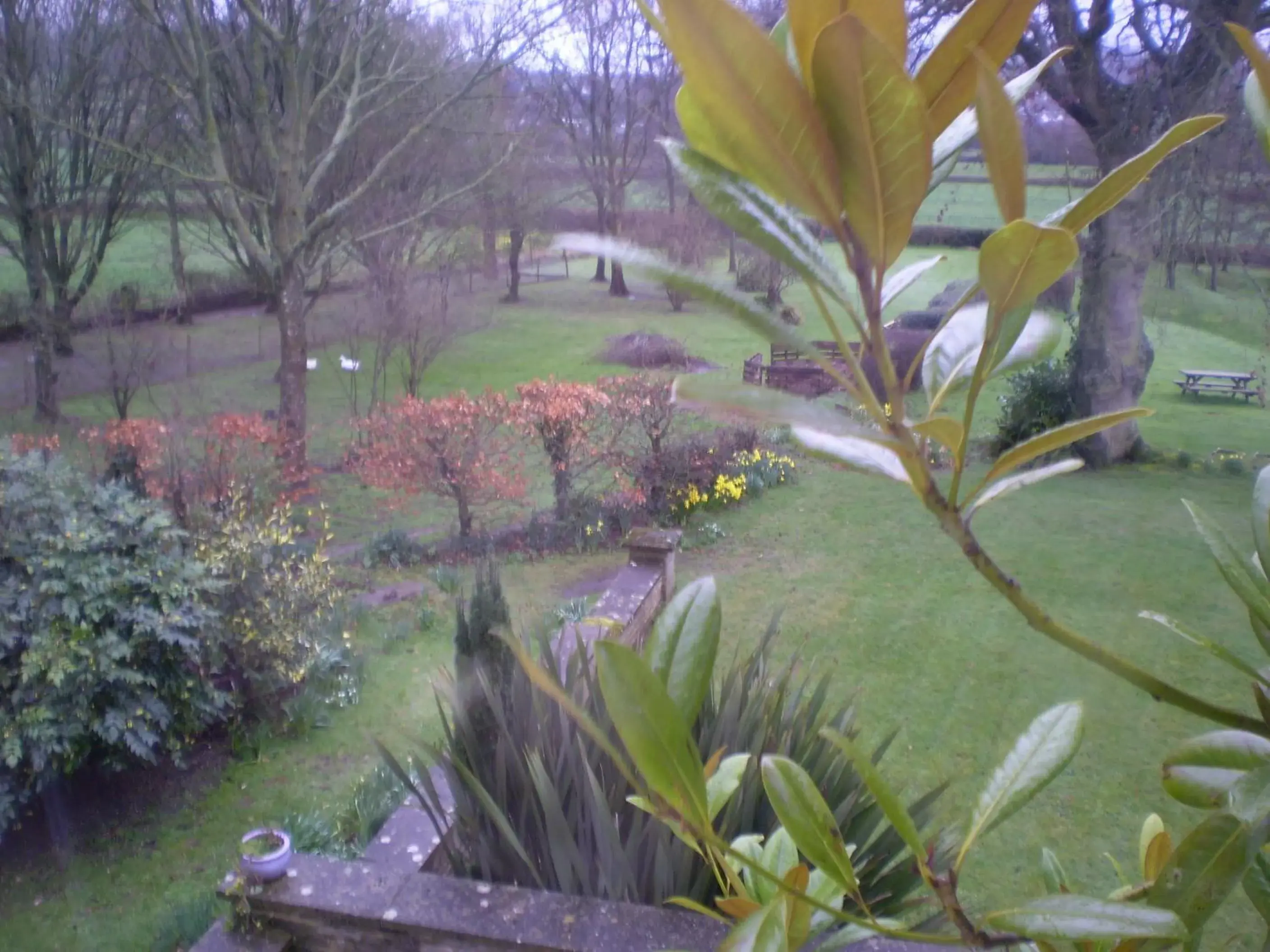 Garden view, Garden in Buckley Farmhouse