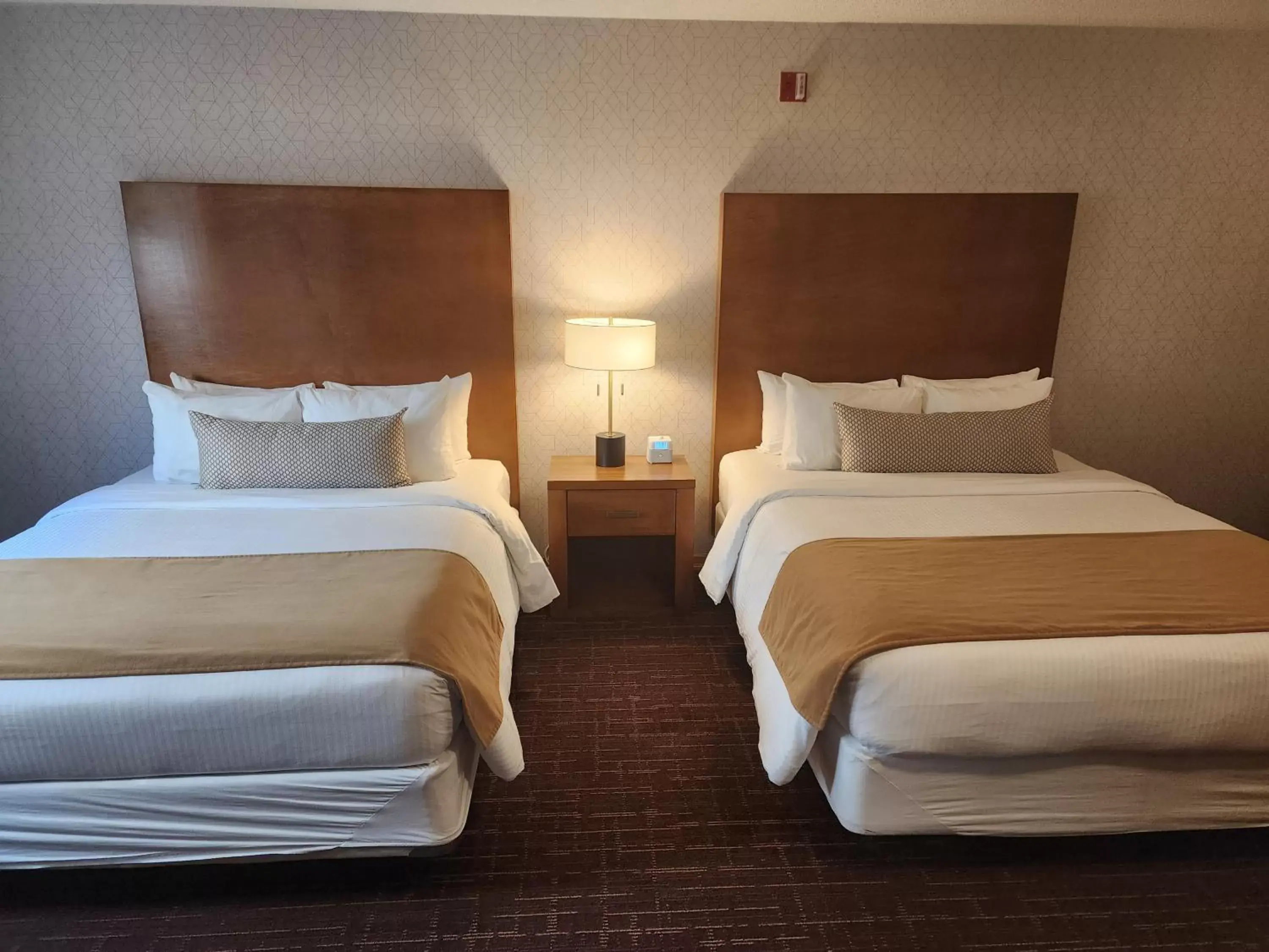 Family Suite in Banff Inn Family Suite in Banff Inn