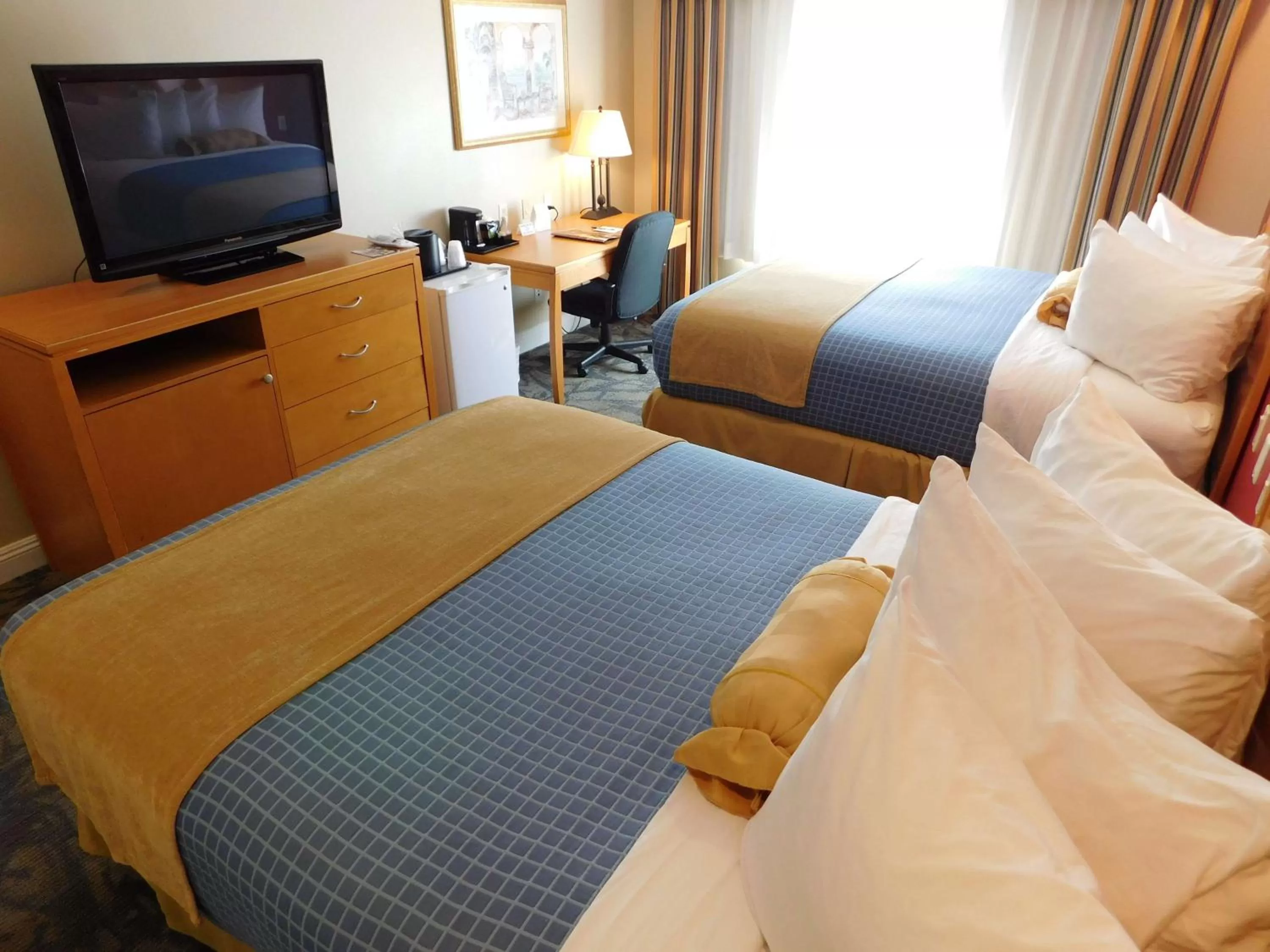 Photo of the whole room, Bed in Best Western Plus - Anaheim Orange County Hotel