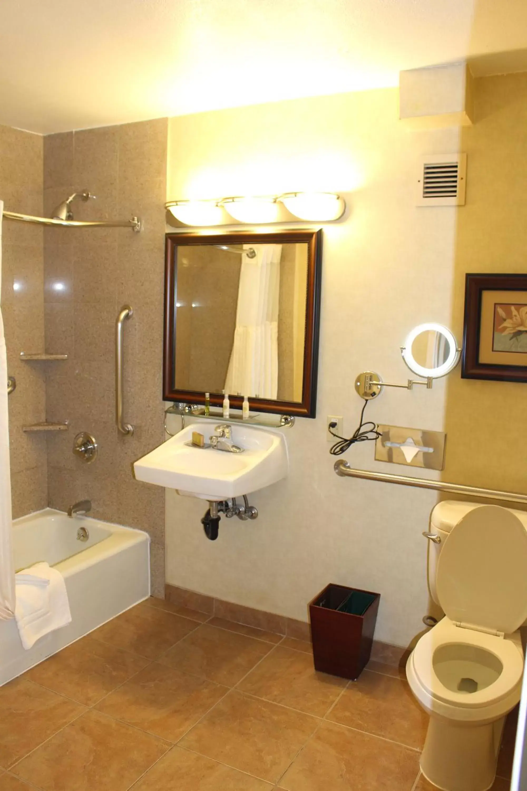 Shower, Bathroom in Premiere Suites