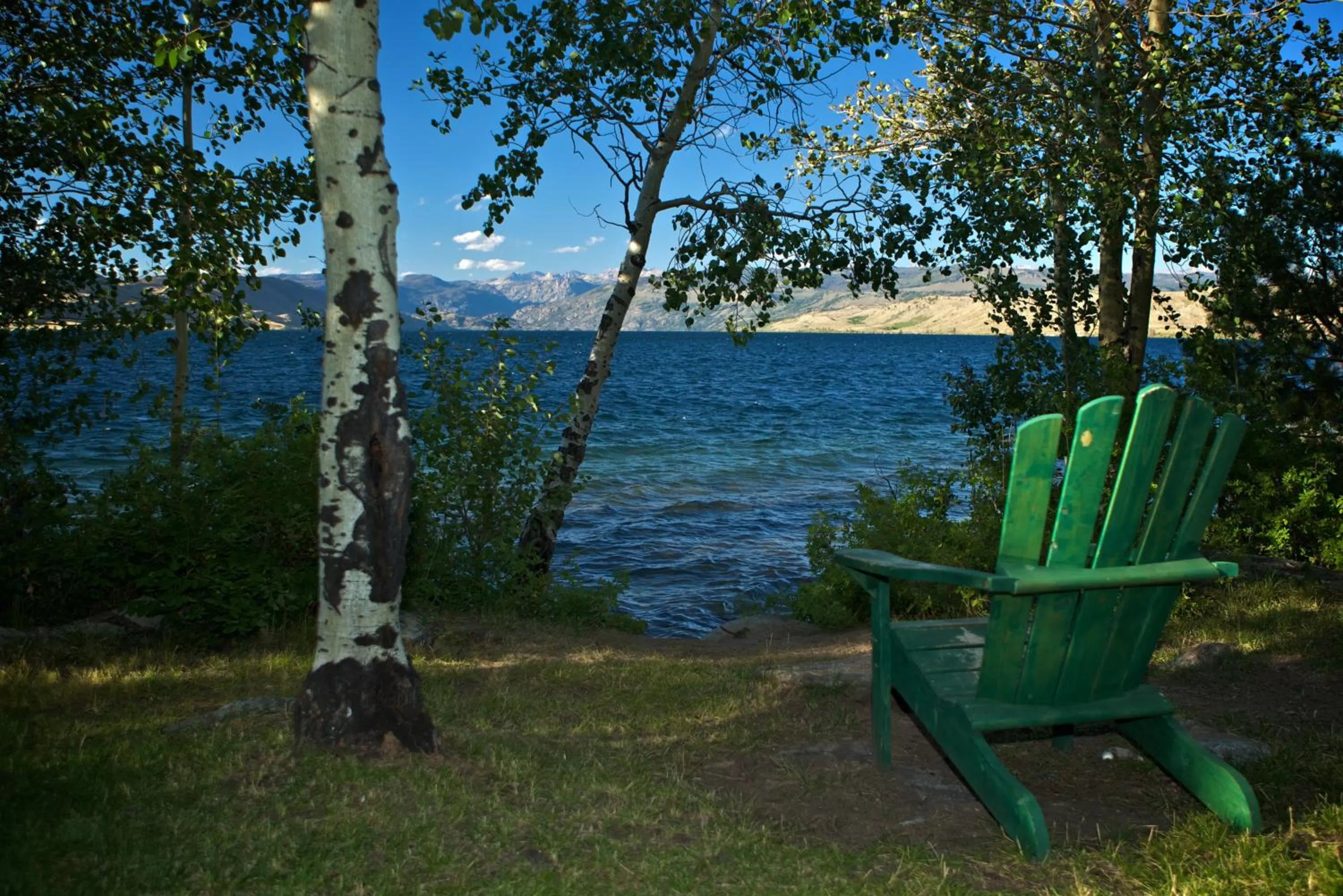 Beach in Lakeside Lodge Resort and Marina