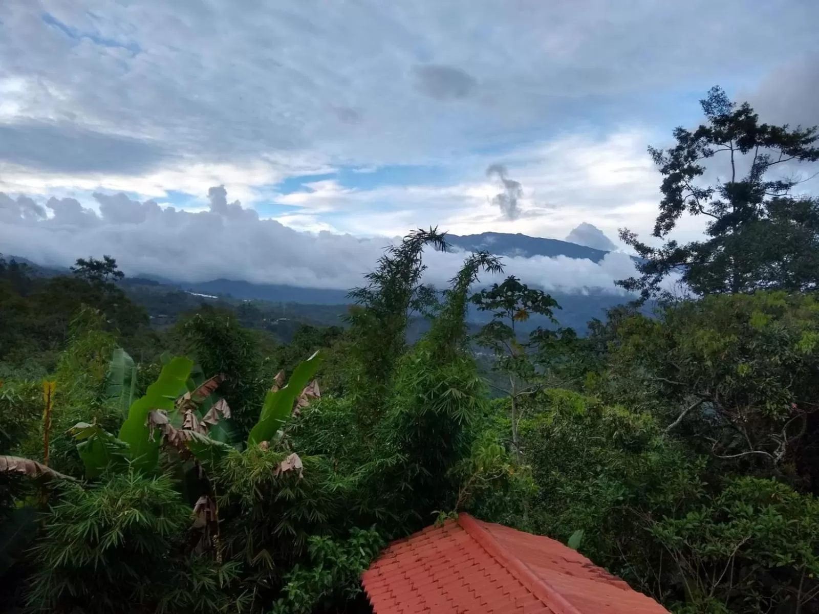 Natural landscape in Hotel Green Mountain turrialba