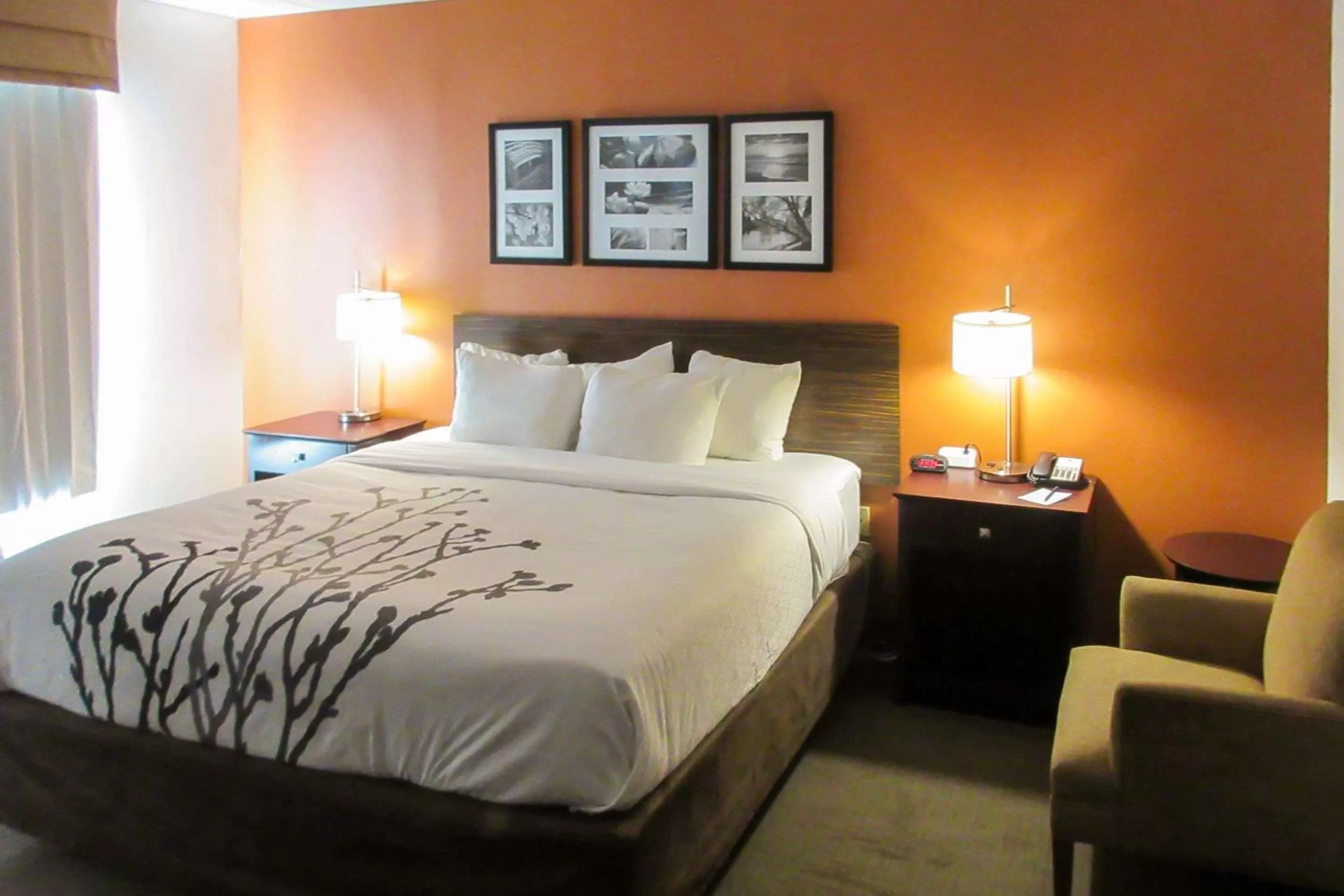 Photo of the whole room, Bed in Sleep Inn & Suites Ft Lauderdale International Airport