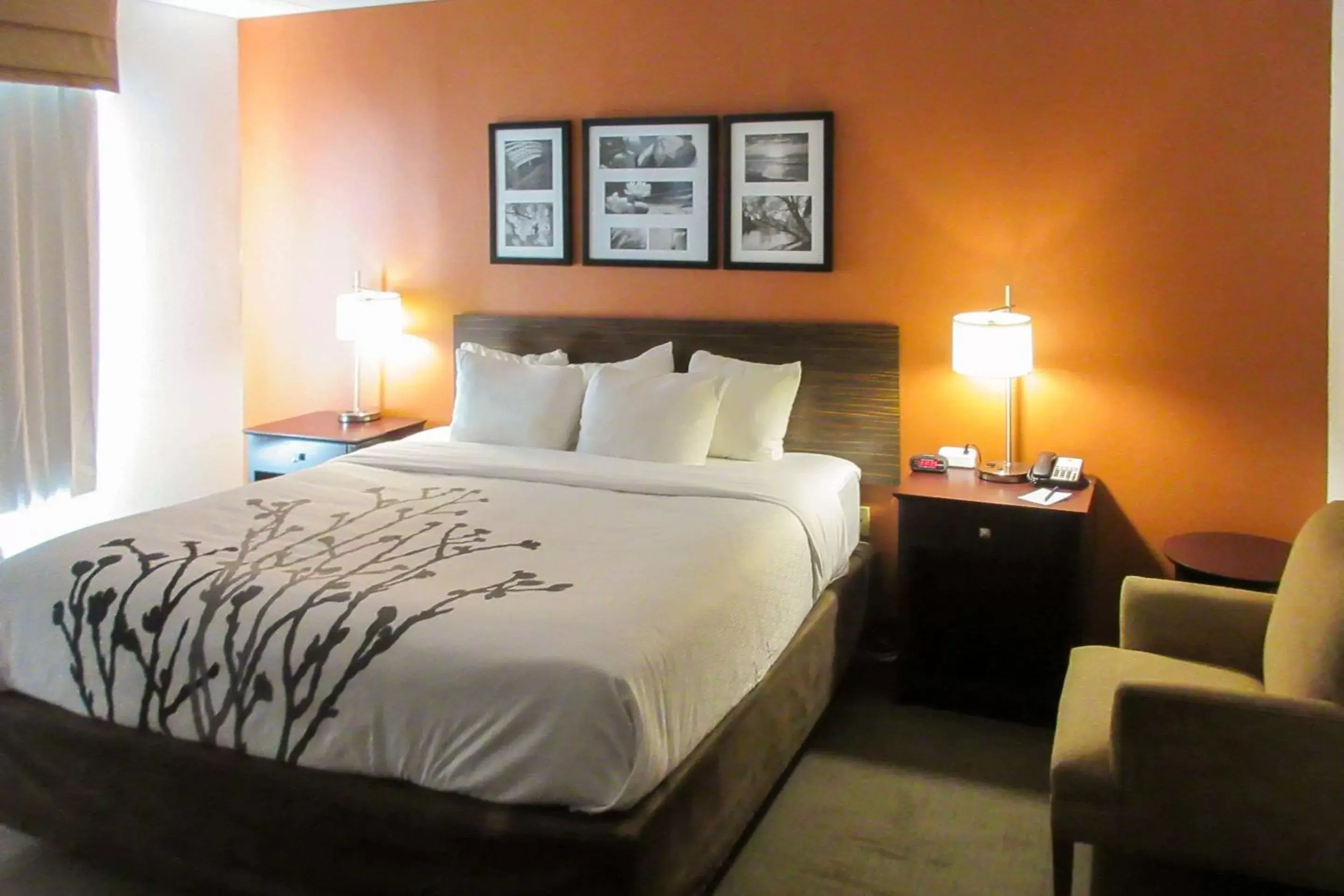 Photo of the whole room, Bed in Sleep Inn & Suites Dania Beach