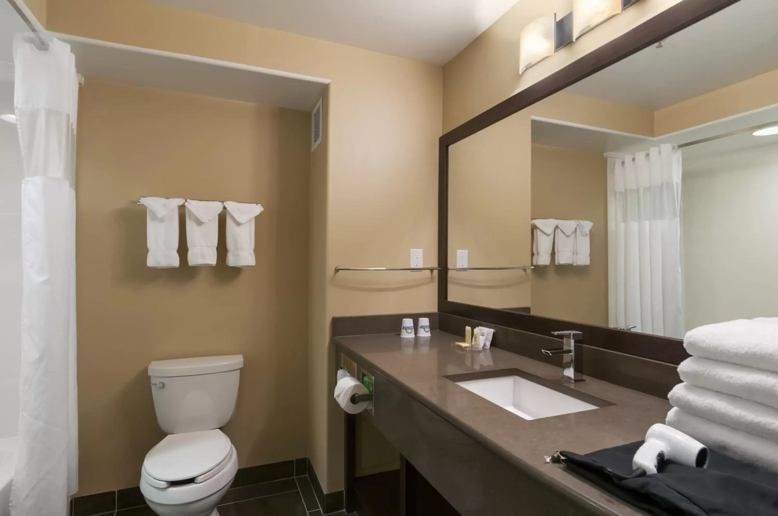 Bathroom in Days Inn & Suites by Wyndham Brandon