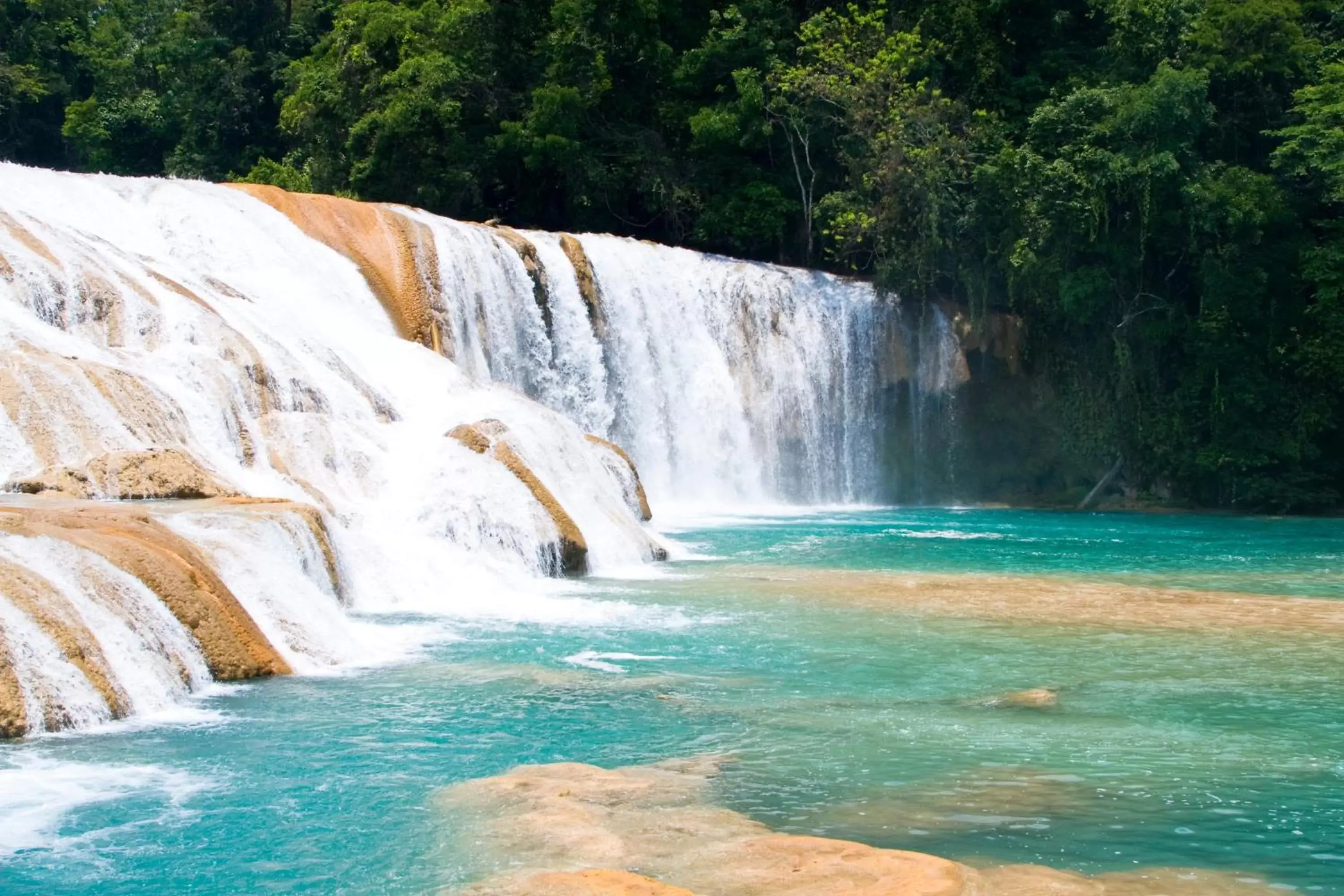 Day, Natural Landscape in Hotel Maya Palenque