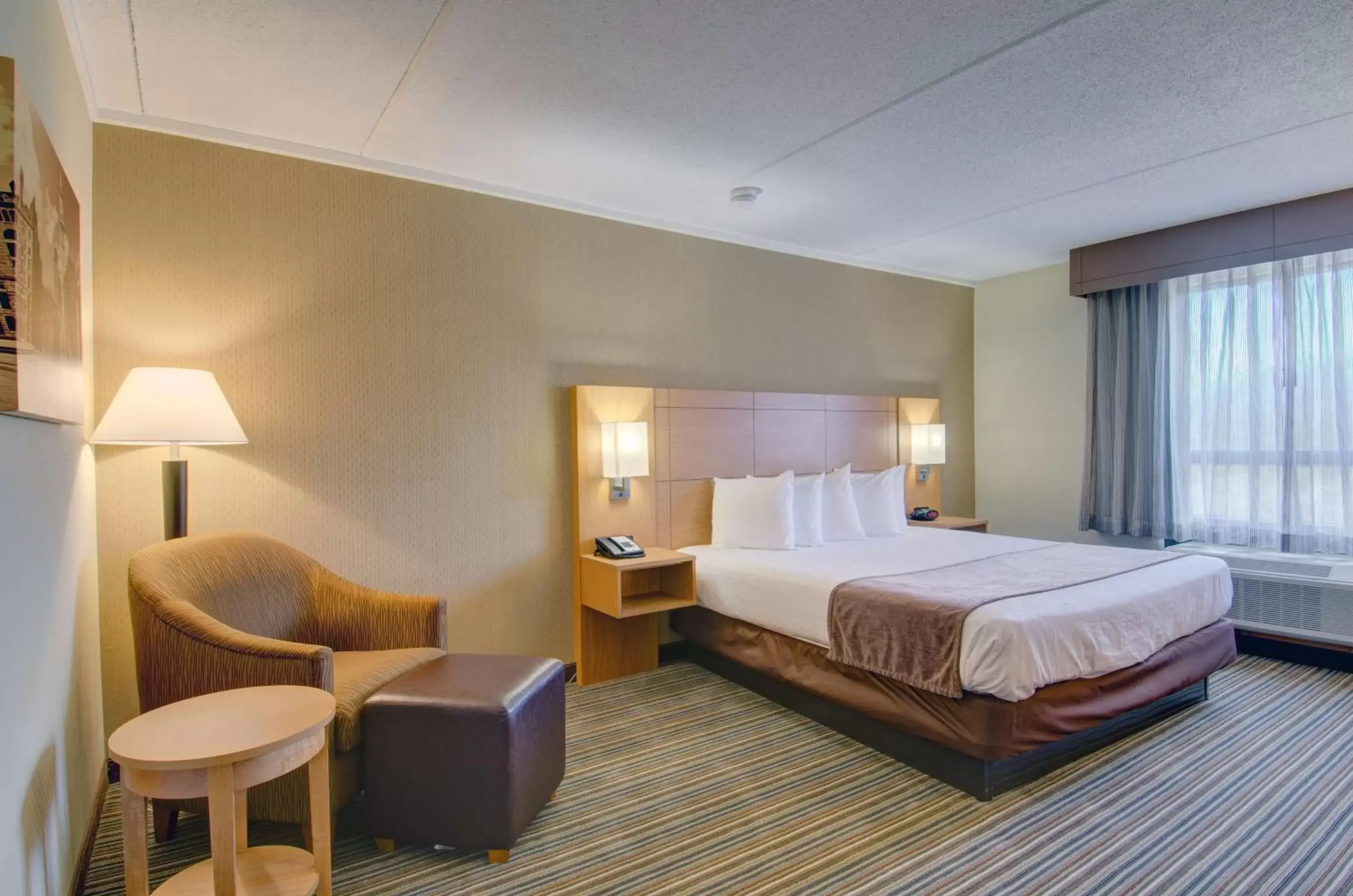 Photo of the whole room, Bed in Best Western Royal Plaza Hotel and Trade Center