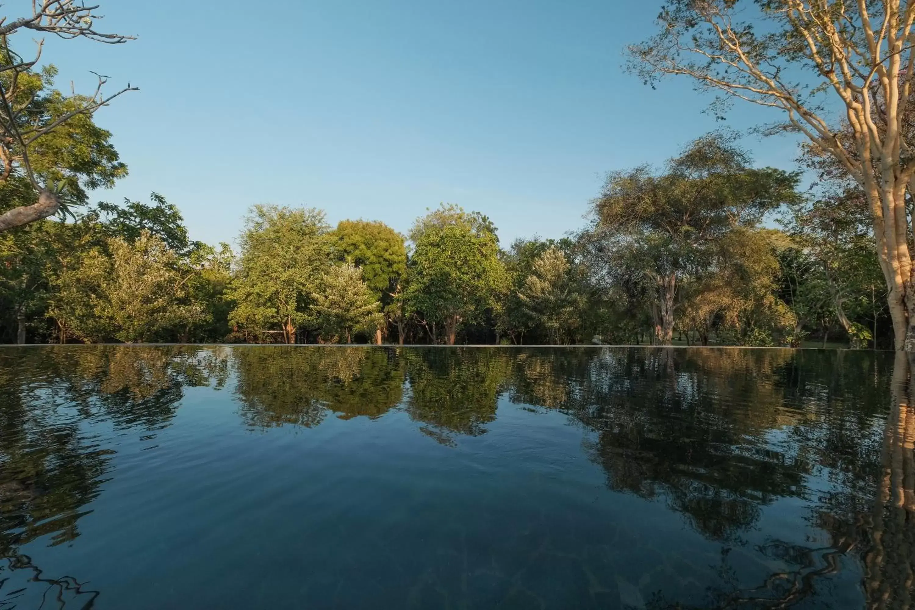 Swimming pool in Mimpi Resort Menjangan Swimming pool in Mimpi Resort Menjangan