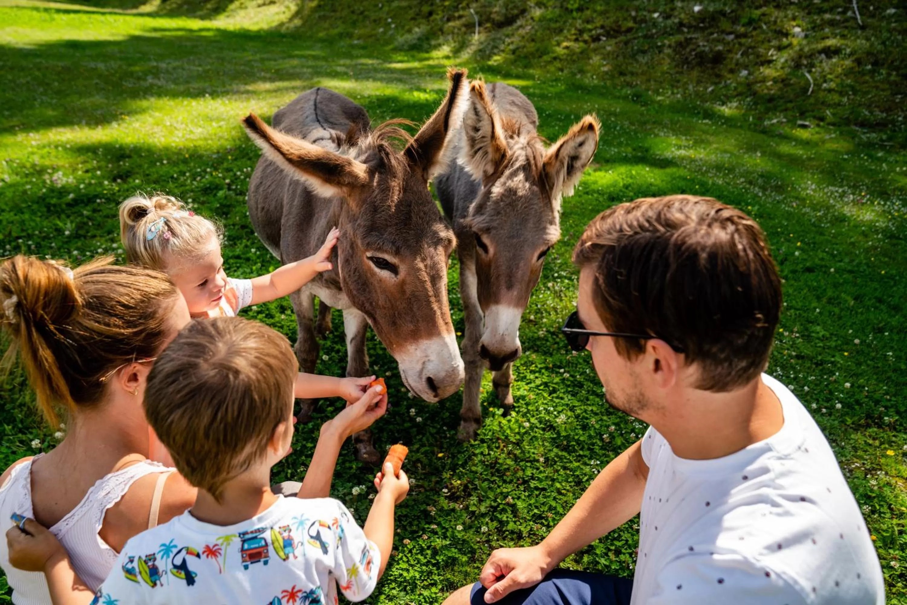Children play ground in Almwelt Austria