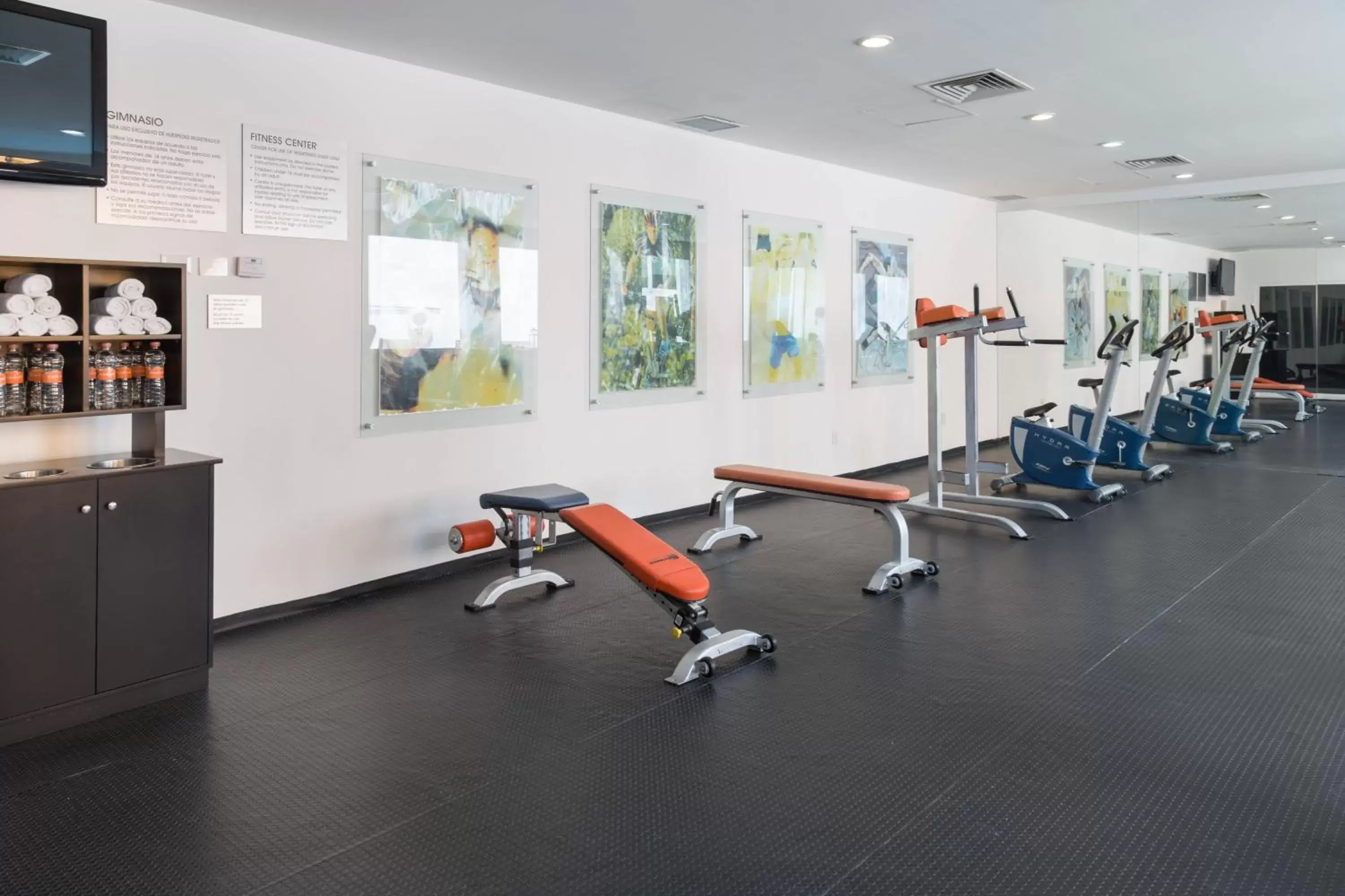 Fitness centre/facilities, Fitness Center/Facilities in HS HOTSSON Smart León Centro Max